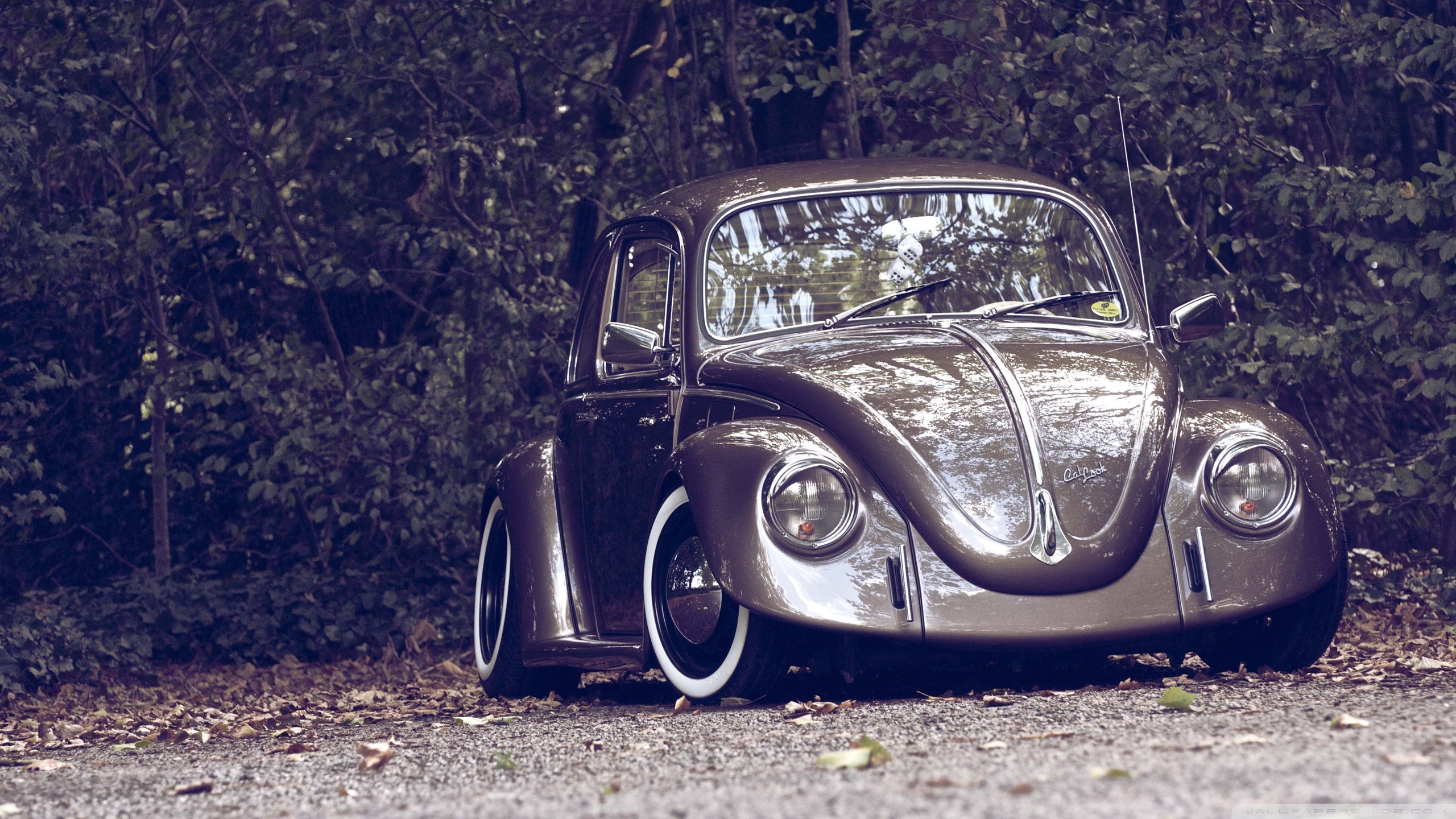 Volkswagen Beetle Volkswagen Camber Nature Custom 2560x1440