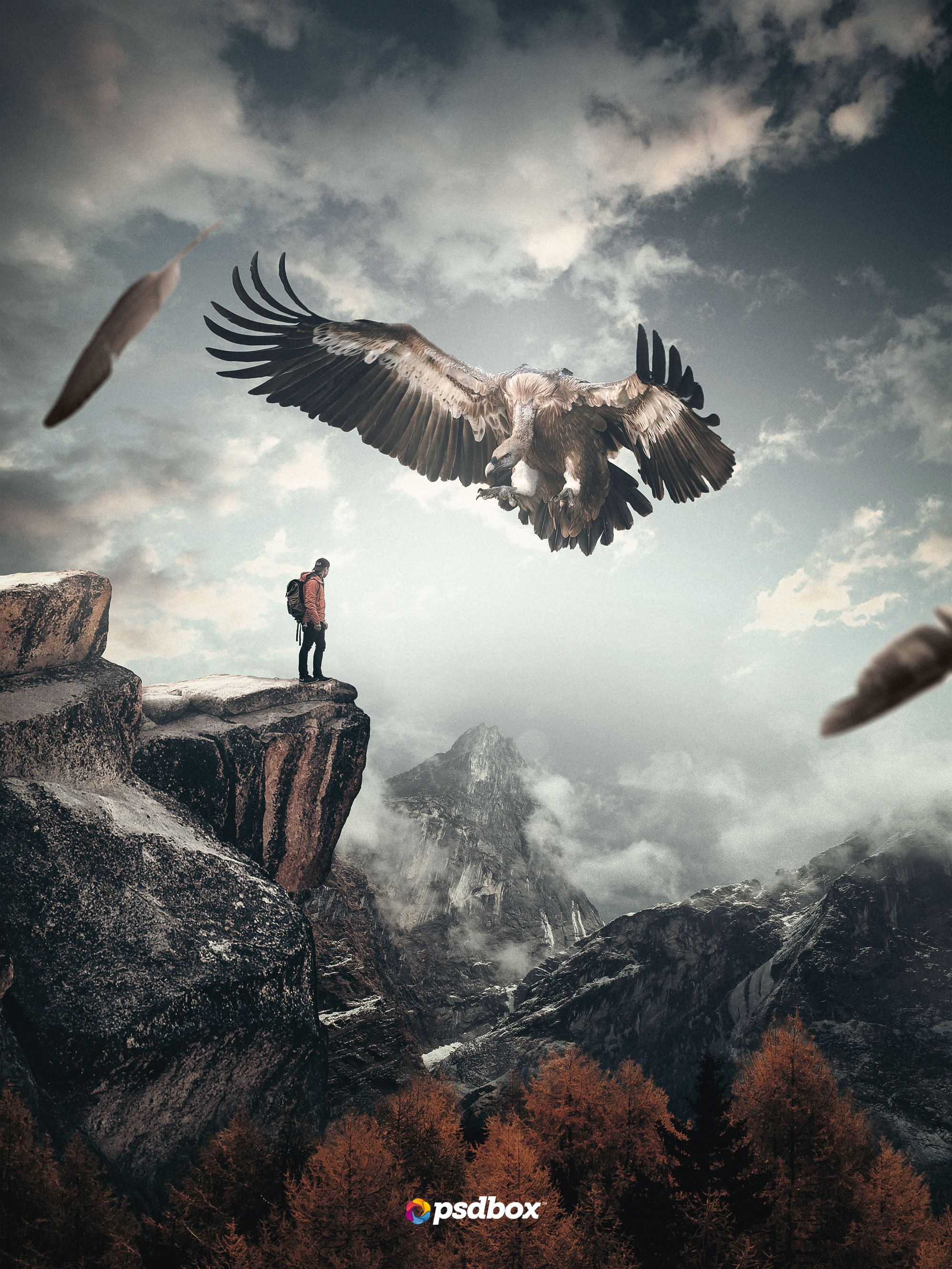 Andrei Oprinca Photo Manipulation Photoshop Eagle Men Mountains Nature Vultures 2000x2667
