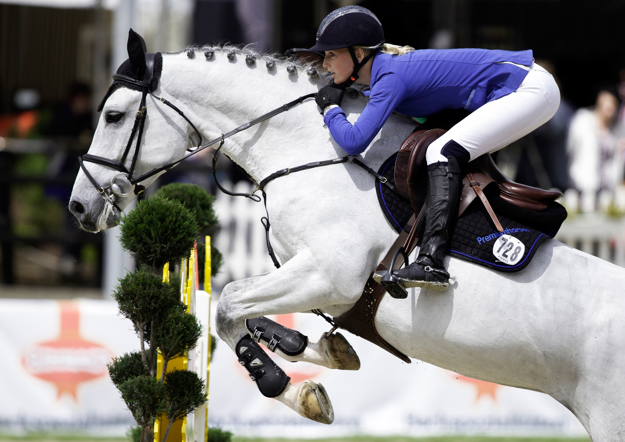 Horse Show Jumping Woman Animal Equestrian 2500x1768