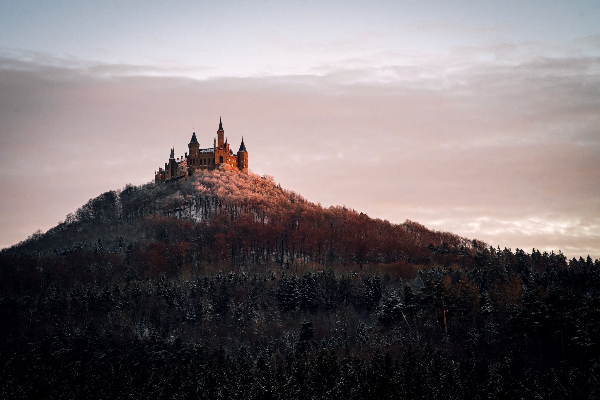 Hohenzollern Castle Castle Germany Hill Forest 2048x1365