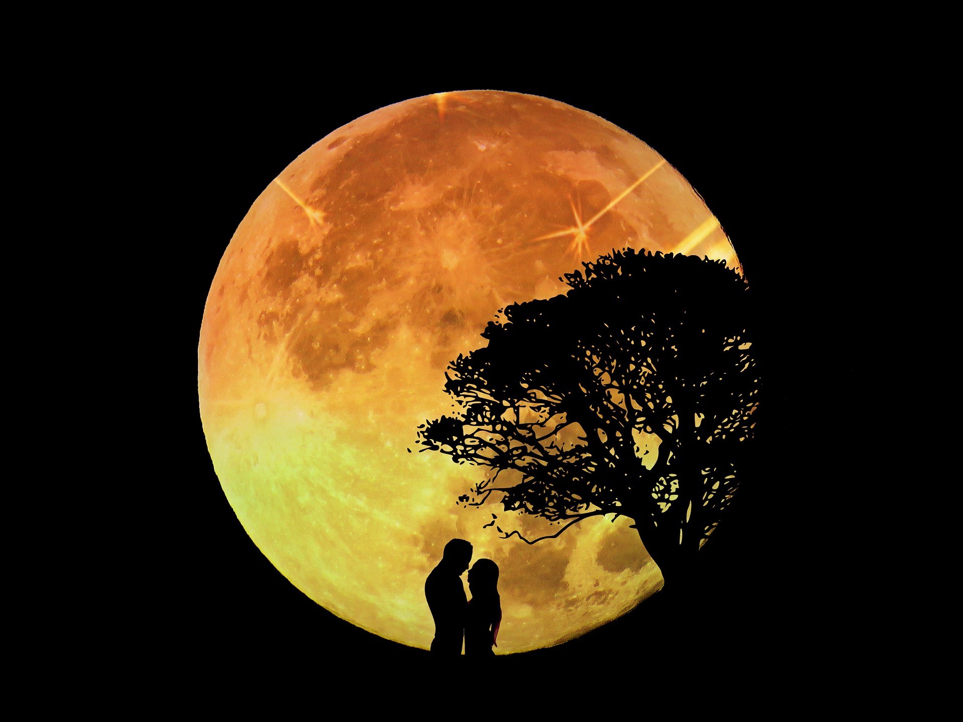 Lovers Moon Trees Night Silhouette Digital Art 1920x1440