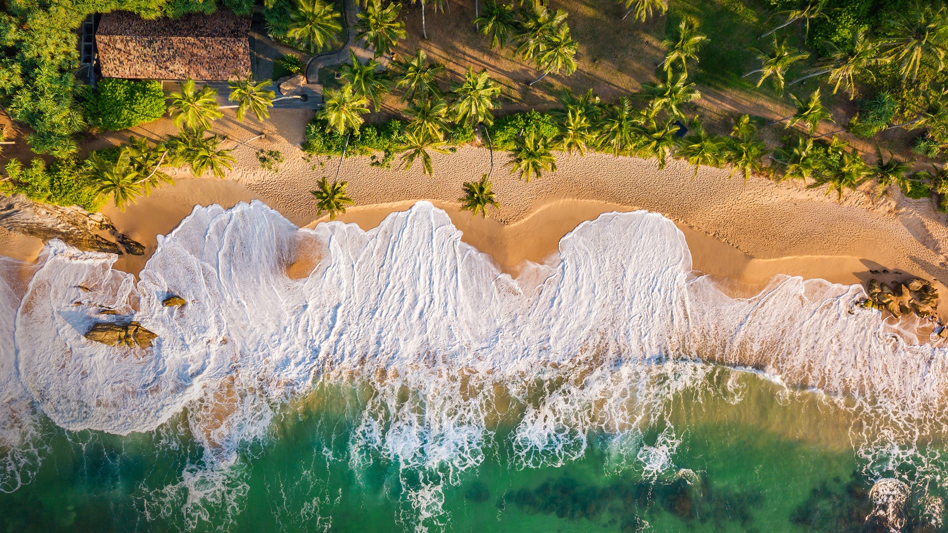 Nature Landscape Sand Aerial View Birds Eye View Water Trees Coast Tangalle Sri Lanka Top View 1920x1080