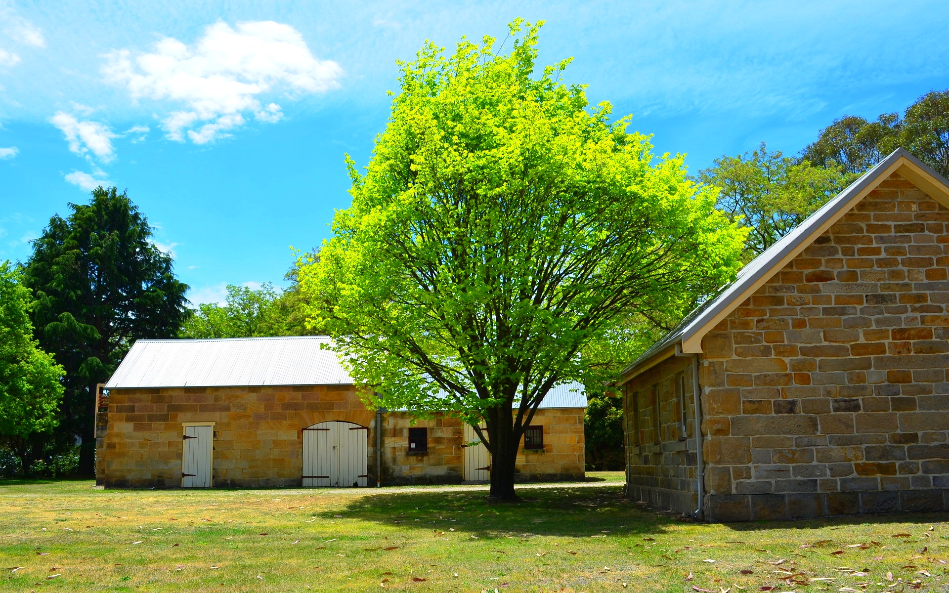 Building Lithgow Tree Eskbank House Australia 1920x1200