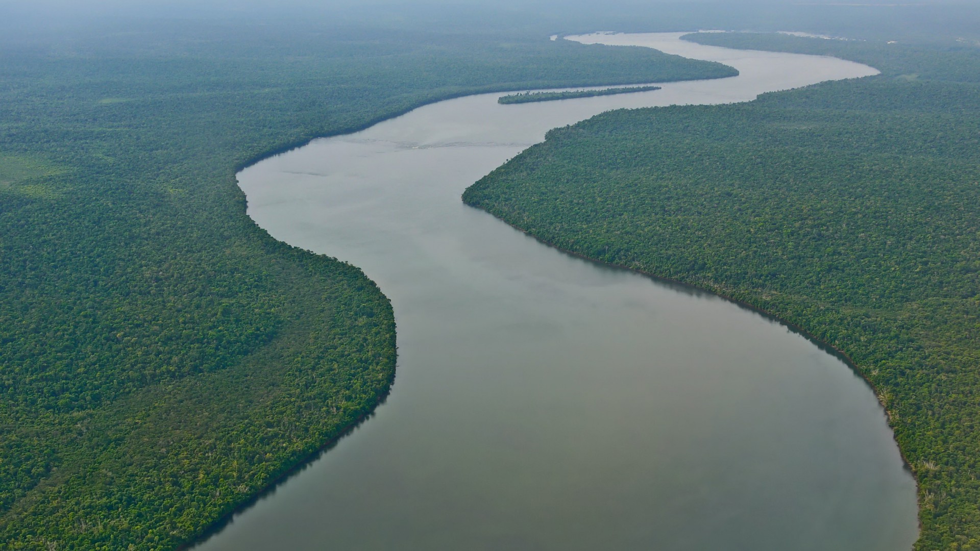 River Amazon Forest Nature Landscape Tropical Forest 1920x1080