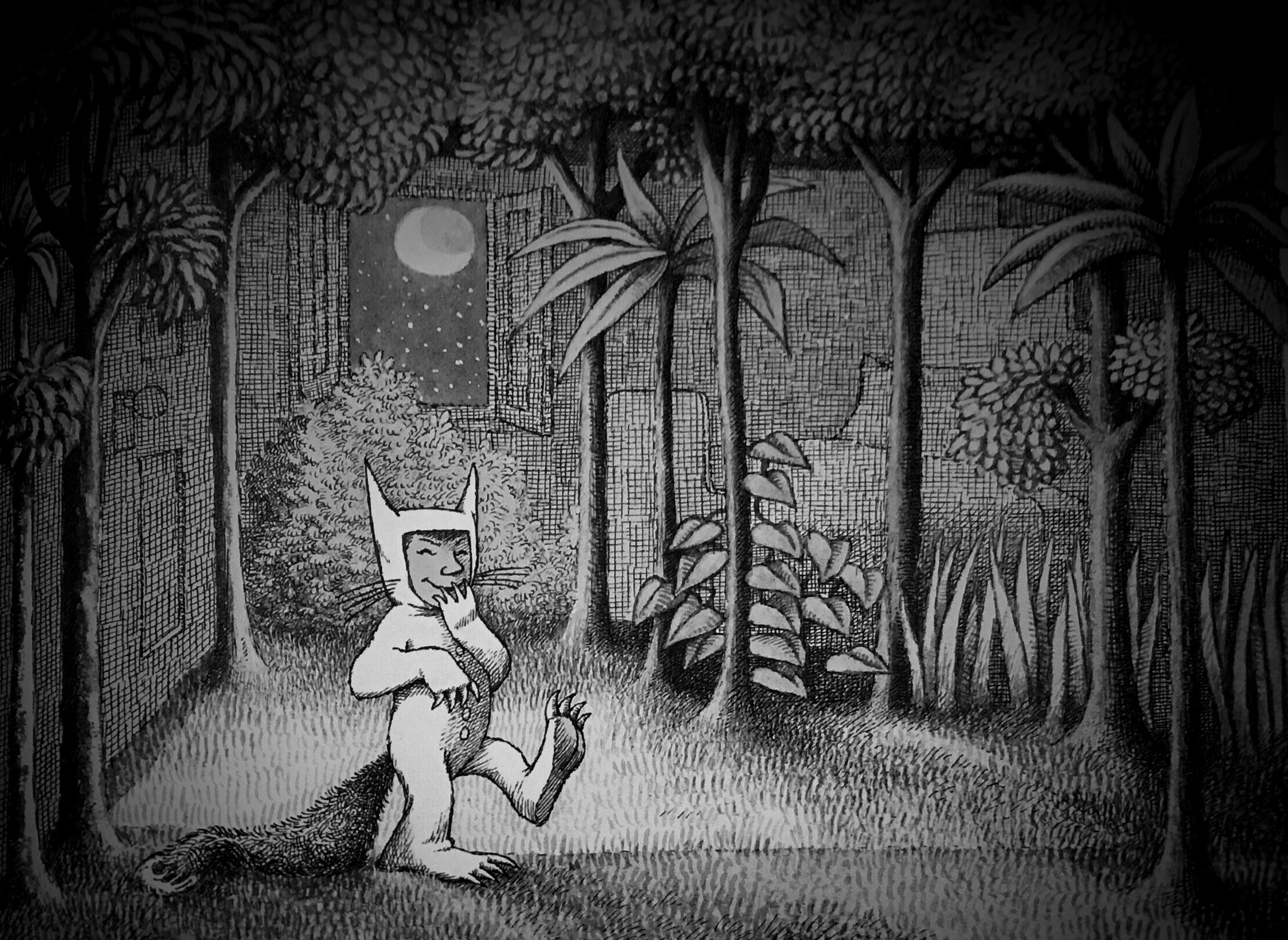 Where The Wild Things Are Forest Books 2219x1619