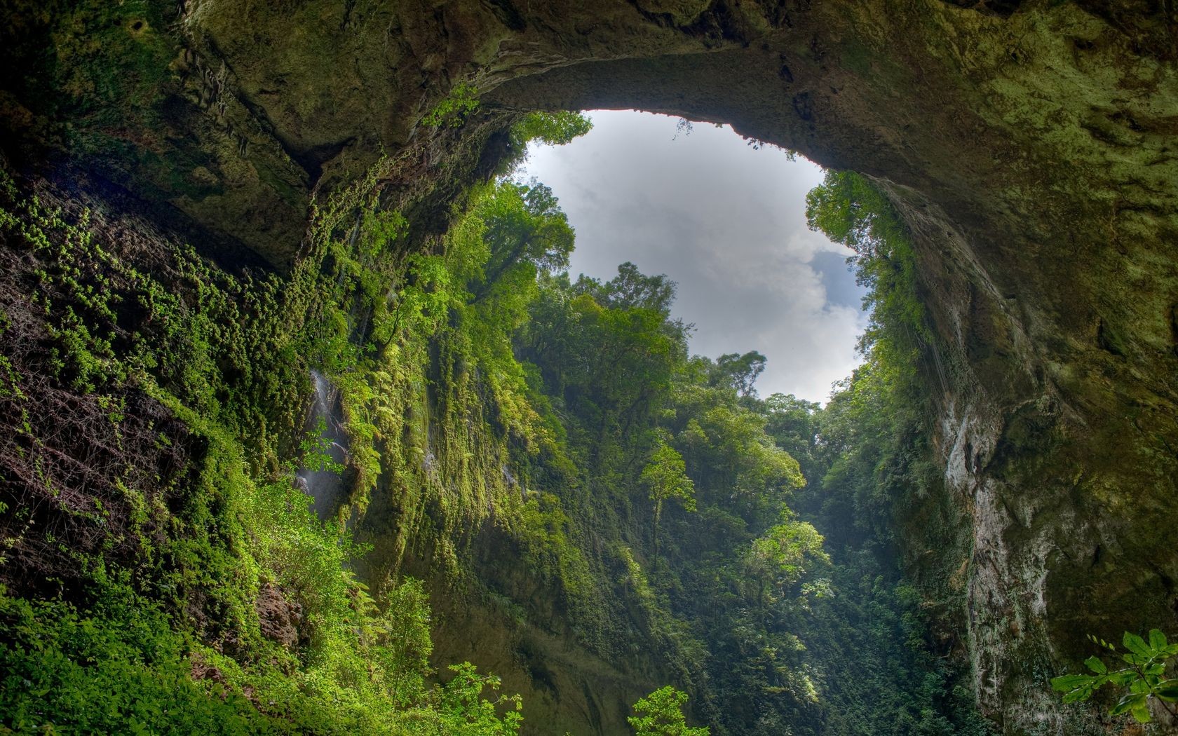 Nature Arch Cave Trees Puerto Rico Rocks 1680x1050