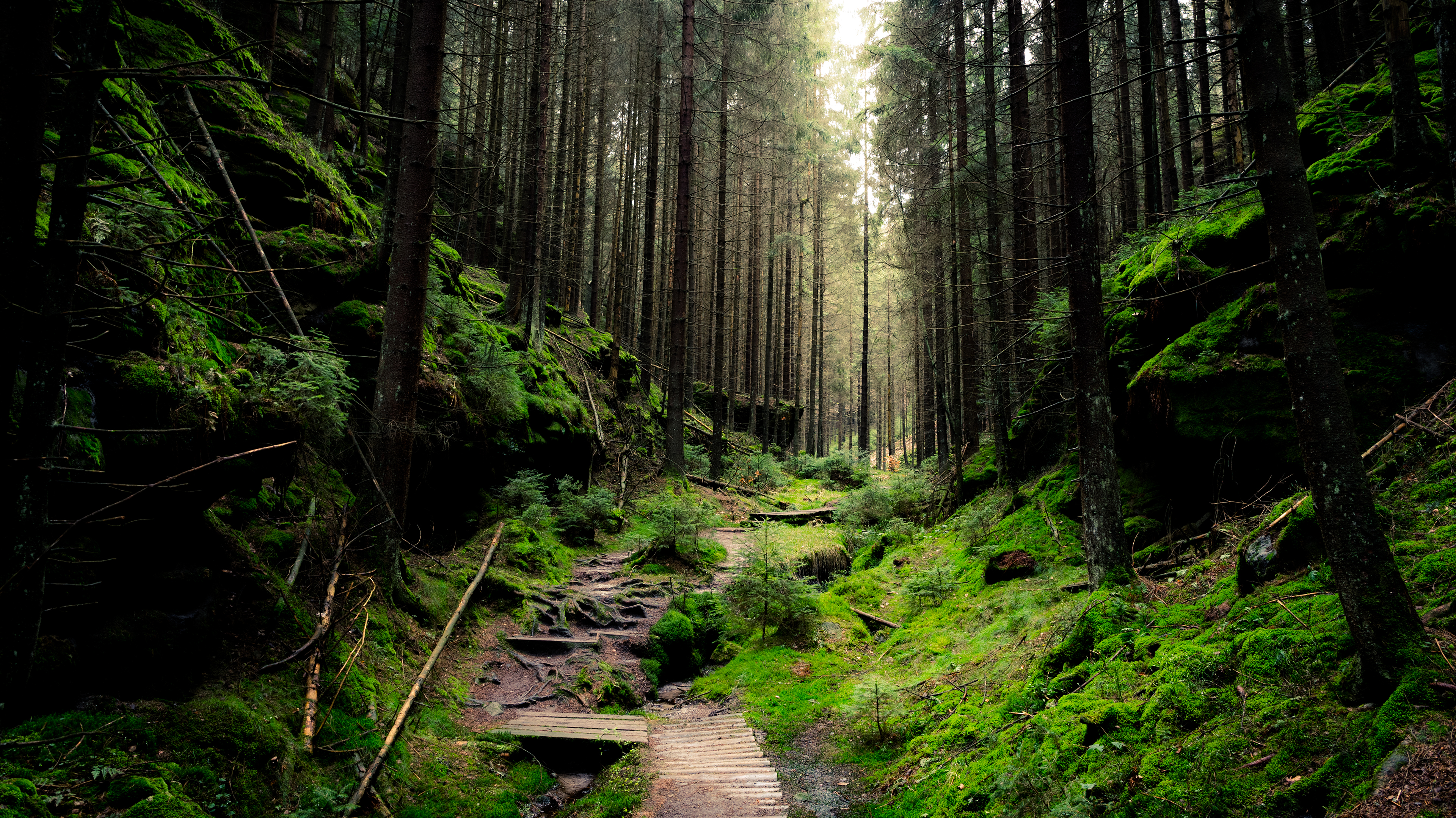 Landscape Ultra HD Calm Nature Trees 3840x2160