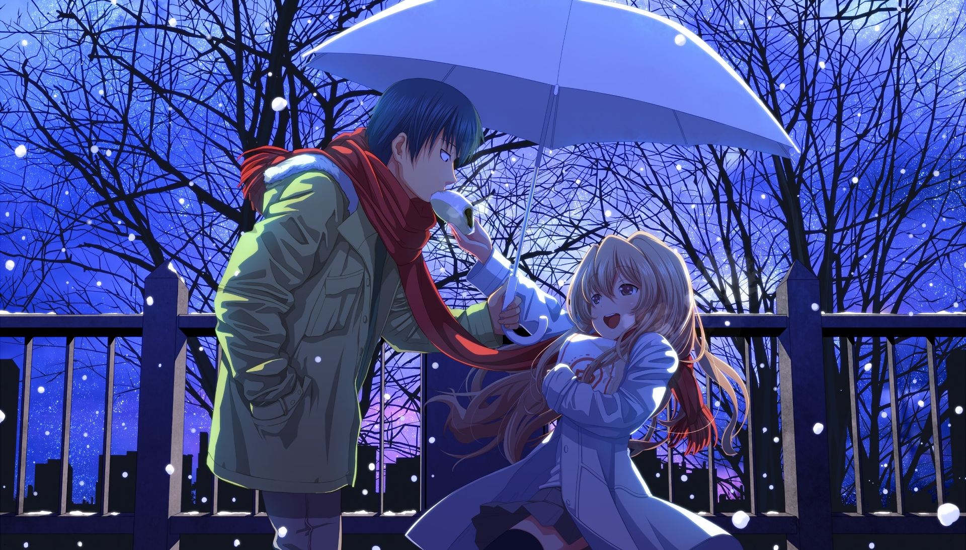 Toradora Taiga Aisaka Ryuuji Takasu Winter Couple Boy Girl 1920x1093