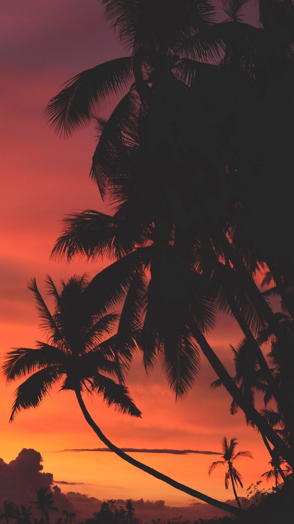 Beach Sunset Palm Trees Vibes Warm Dark 938x1668