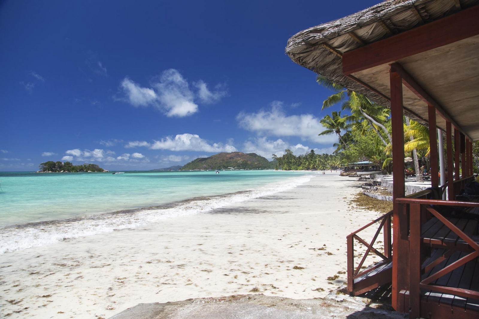 Landscape Nature Tropical Beach White Sand Sea Palm Trees Island Summer Bungalow Seychelles 1600x1067