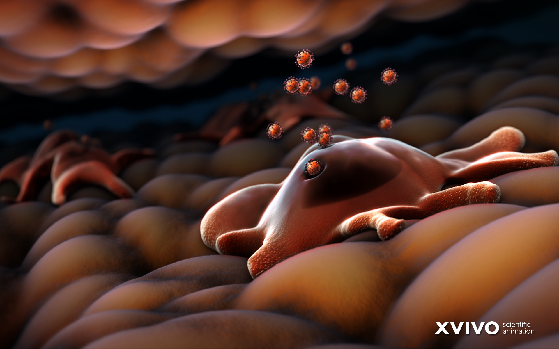 Digital Art Macro Closeup Bacteria Viruses Biology Science XViVO CGi Animation Depth Of Field HiV 1920x1200