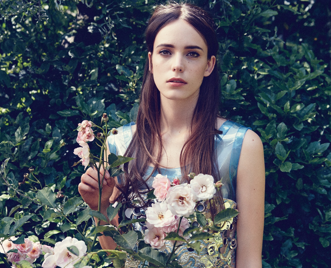 Stacy Martin Women Actress French French Actress Brunette Long Hair Flowers Plants 1366x1104