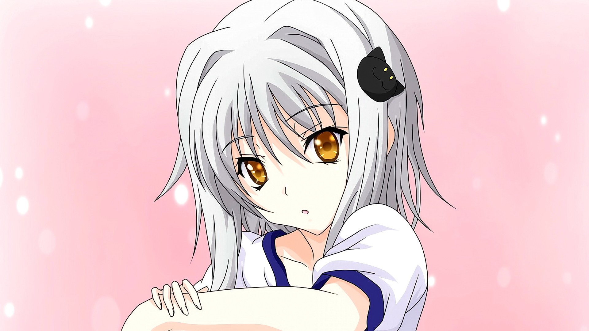Anime Anime Girls Highschool DxD Toujou Koneko Short Hair White Hair Yellow Eyes 1920x1080