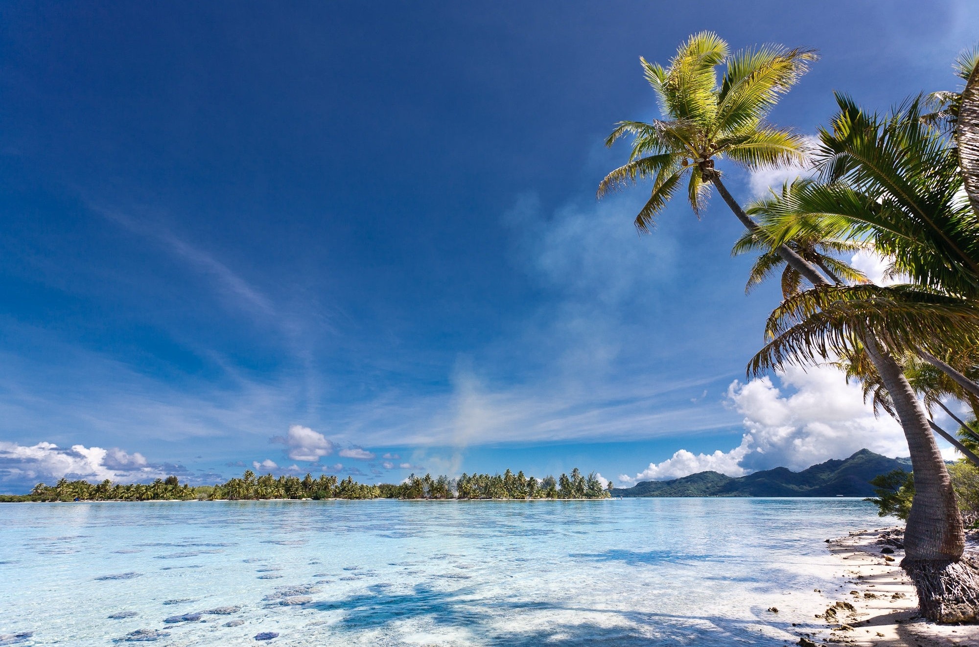 Landscape Nature Beach Palm Trees Island Sea Tropical Eden Mountains Summer French Polynesia 2000x1322