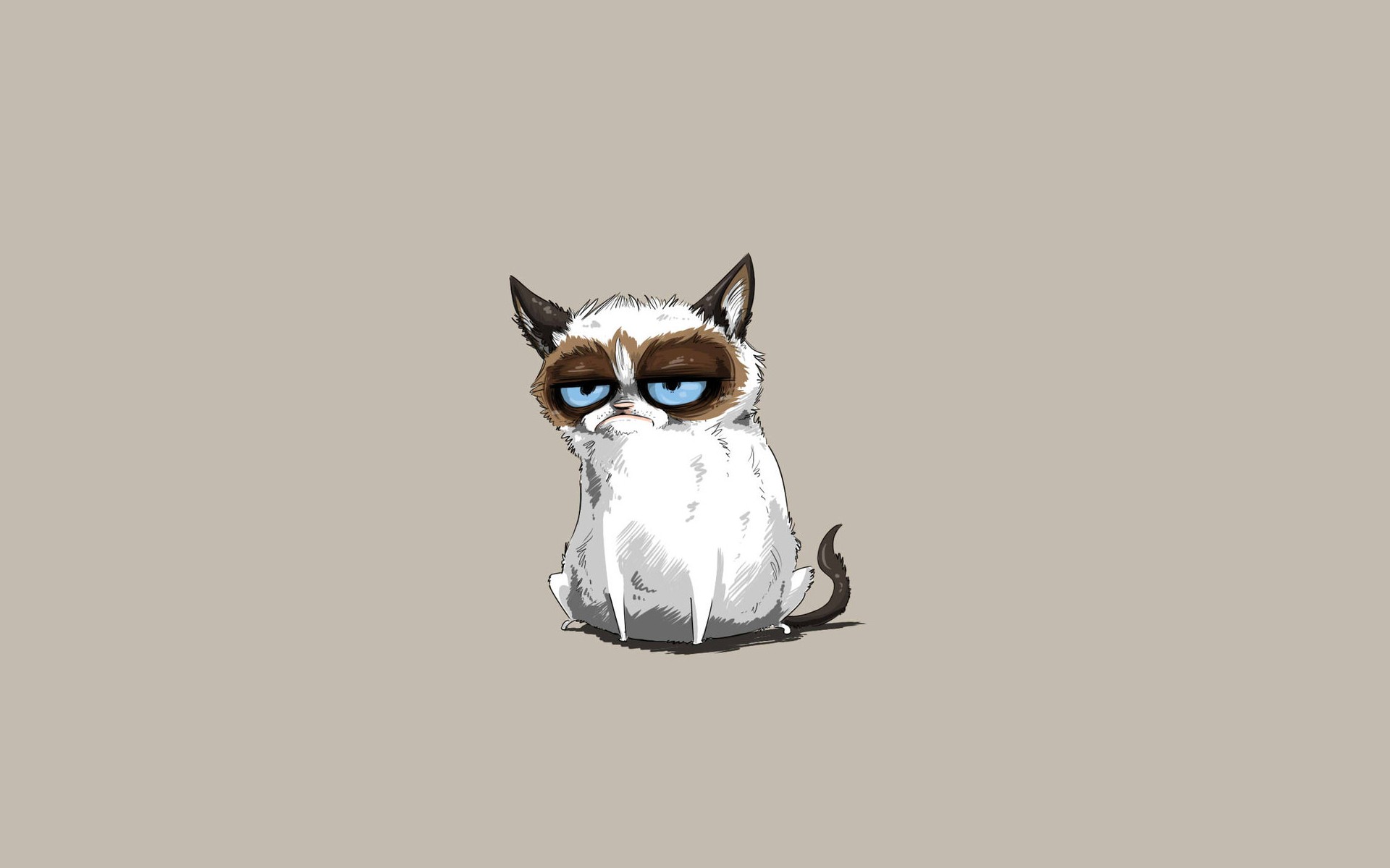 Cats Minimalism Grumpy Cat 1920x1200