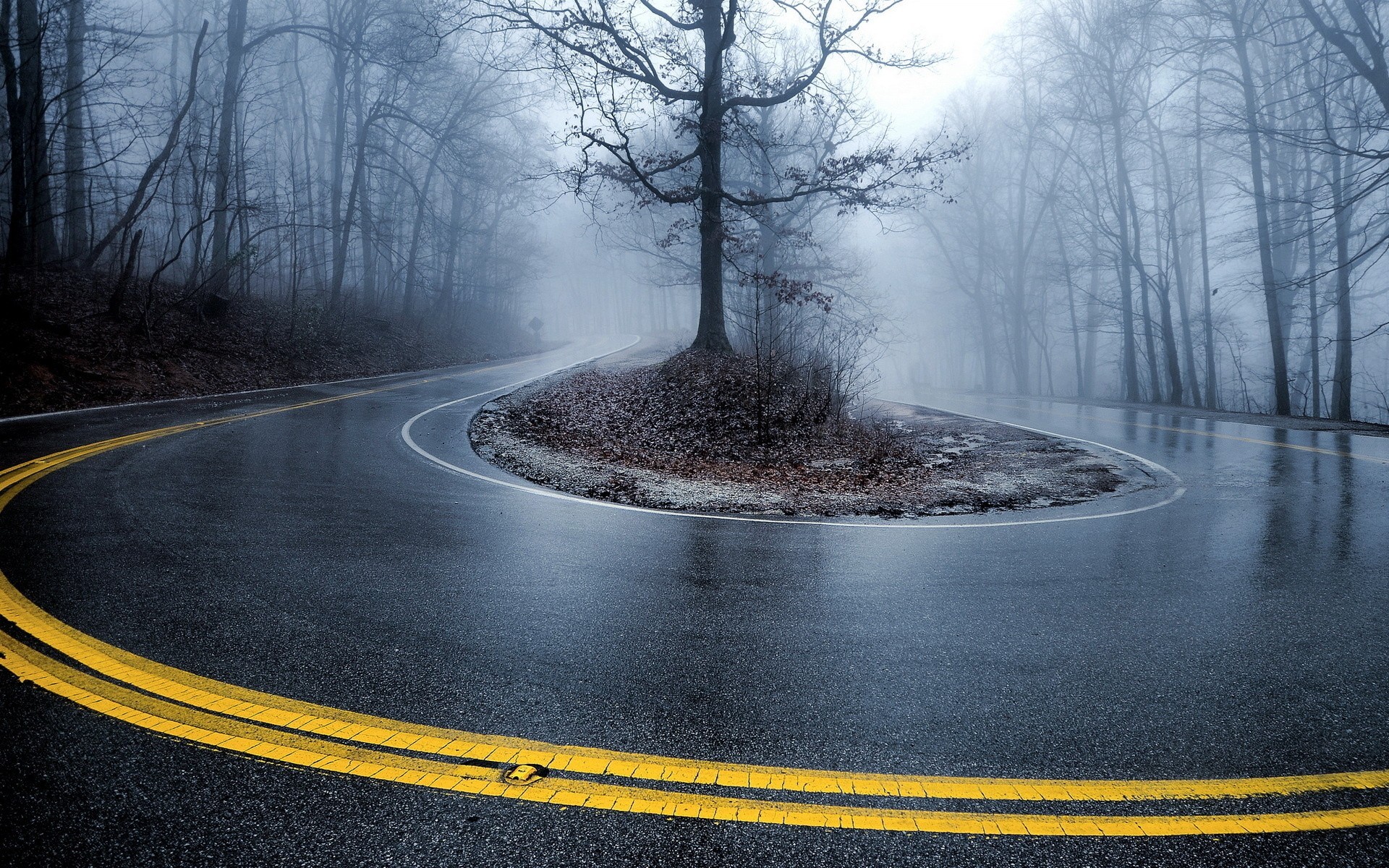 Road Trees Wet Mist Road Wet Hairpin Turns Hairpin Turns Hairpin Turns 1920x1200