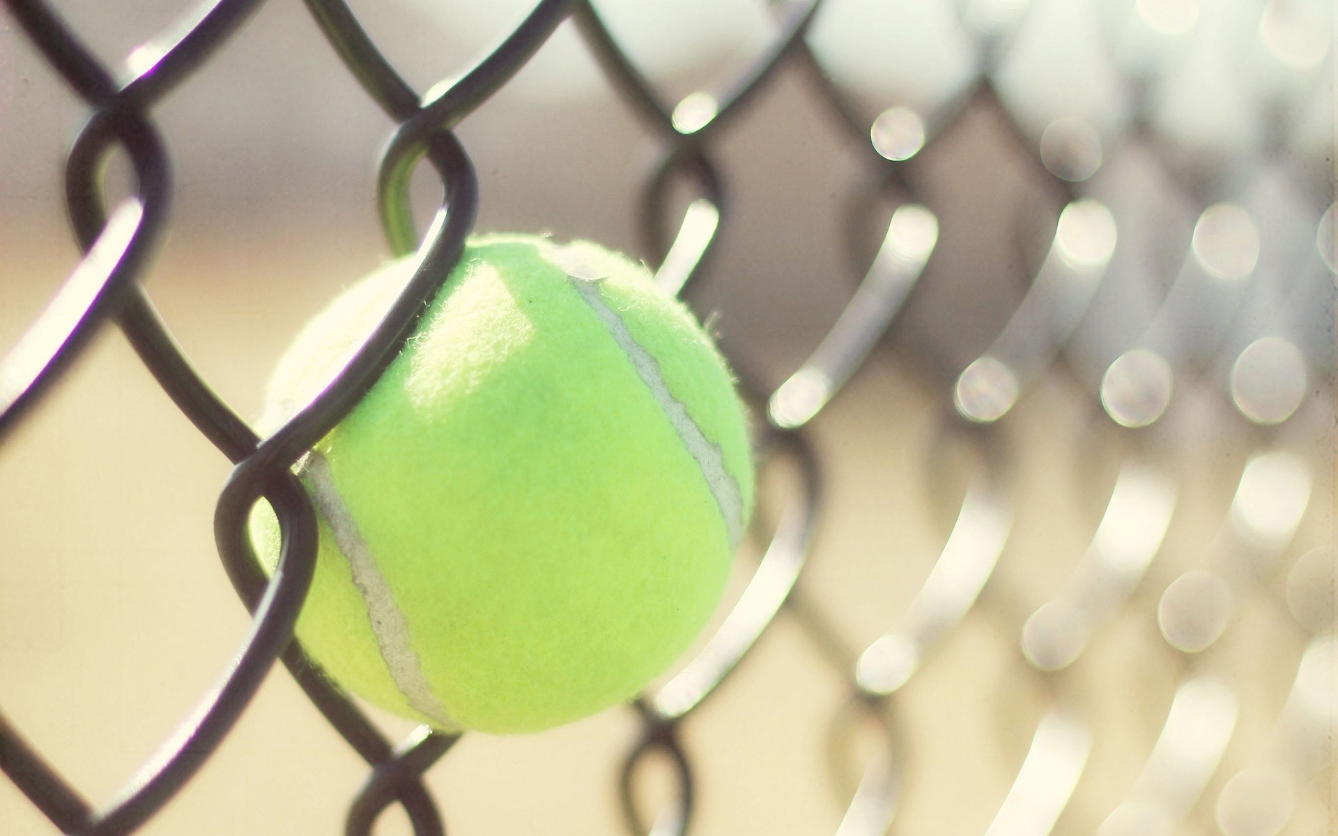 Sport Tennis Ball Tennis Balls Fence Depth Of Field Sunlight 1920x1200