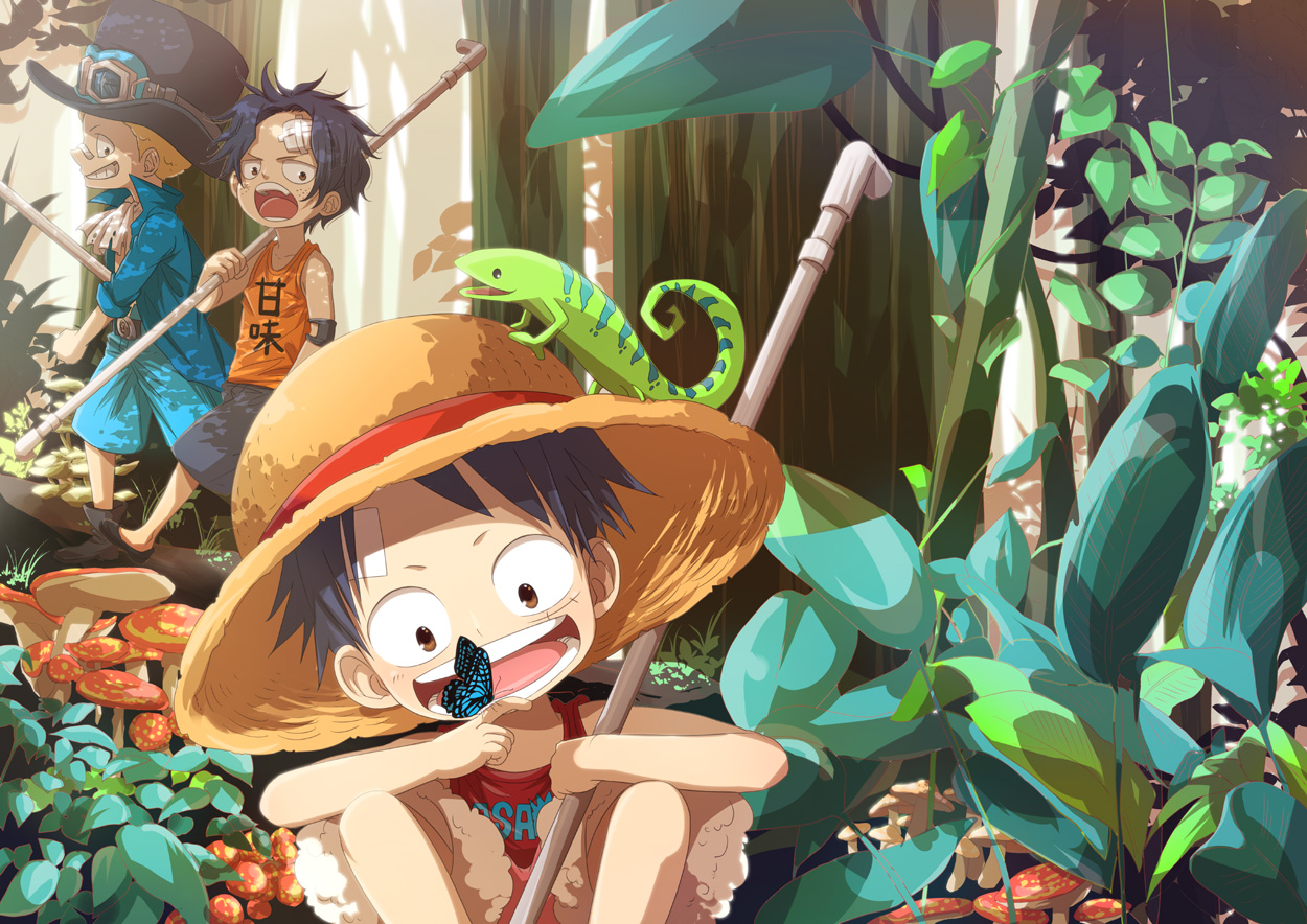 One Piece Monkey D Luffy Sabo Portgas D Ace Anime Anime Boys Hat Nature Open Mouth 1250x884