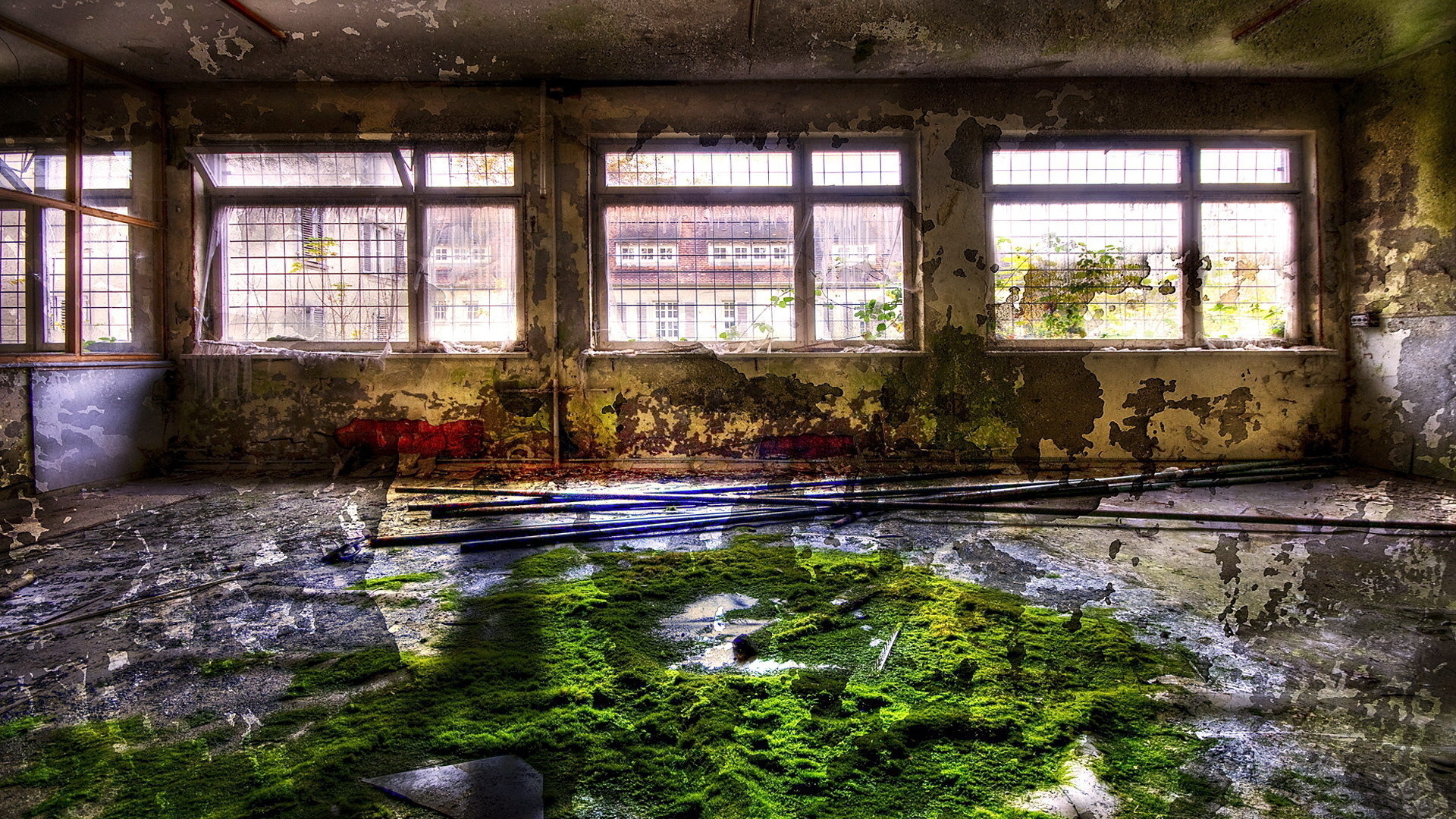 Room Window Bars Moss Abandoned Cityscape 1920x1080