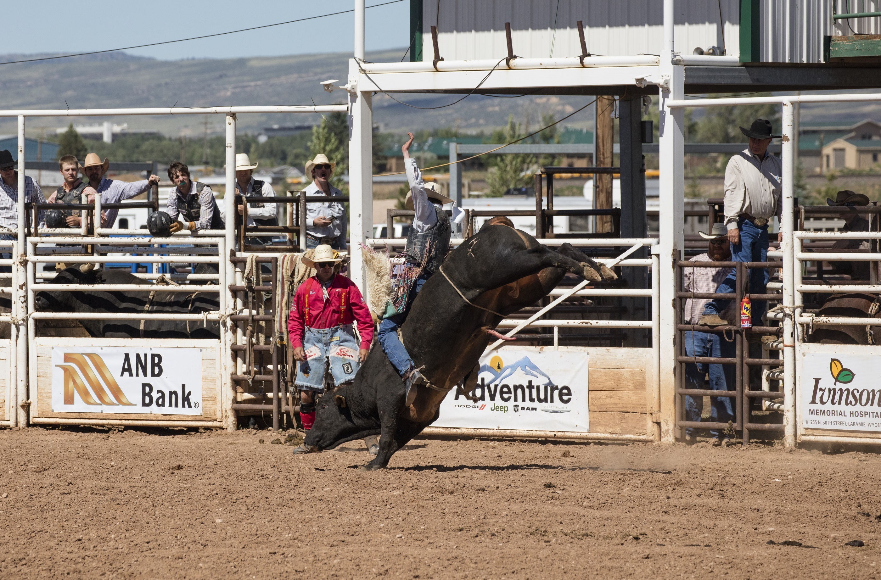 Rodeo Bull Sport Cowboy 2800x1844