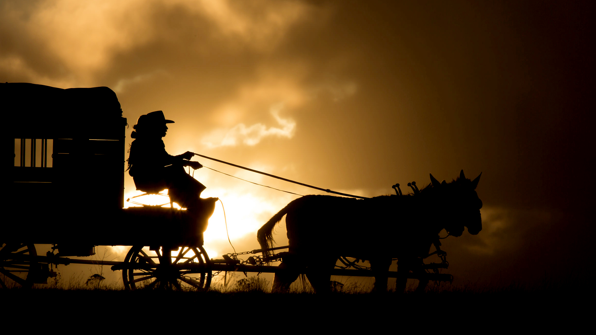 Movie The Homesman 1920x1080