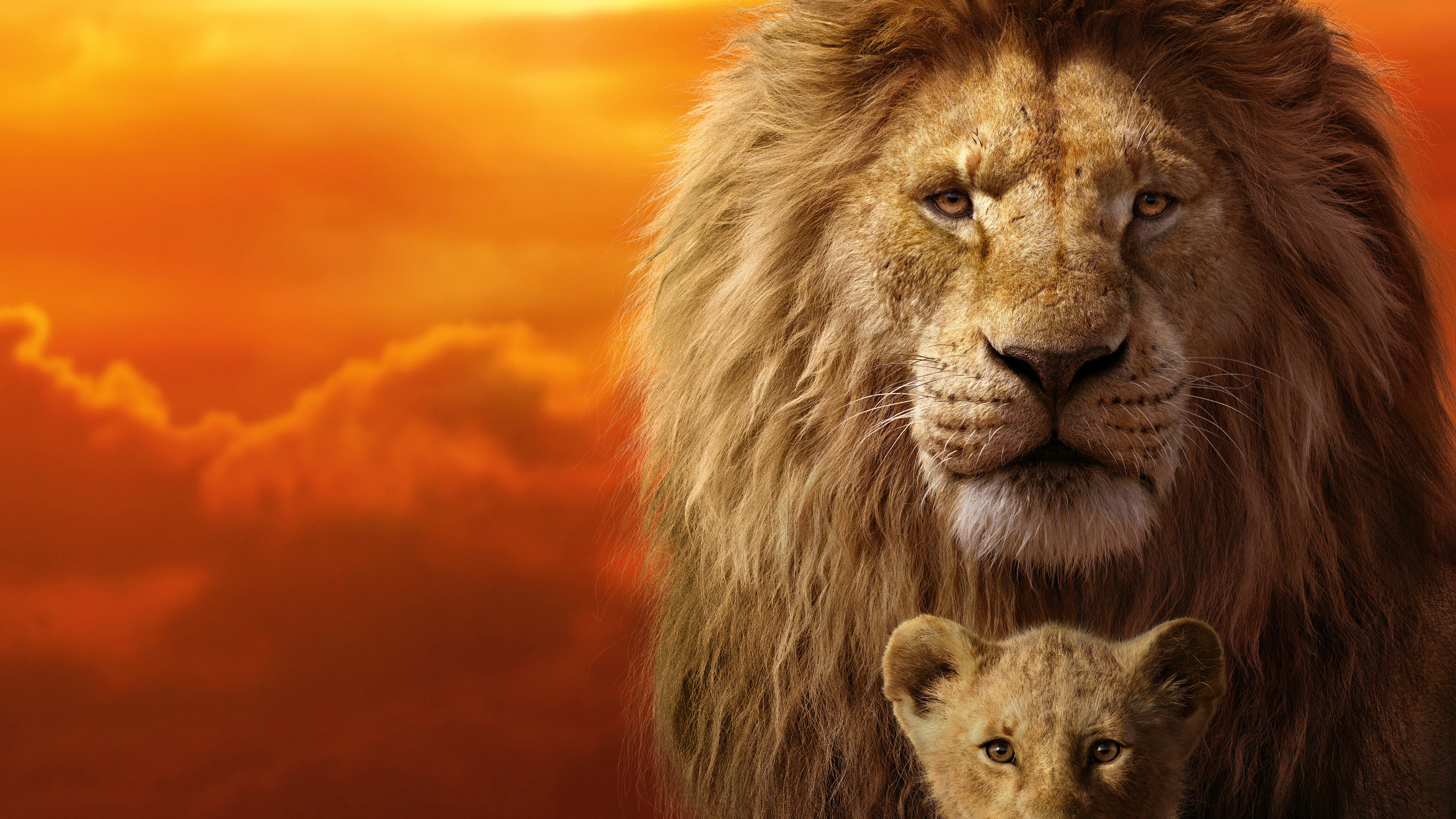 Simba Mufasa The Lion King Lion 7680x4320
