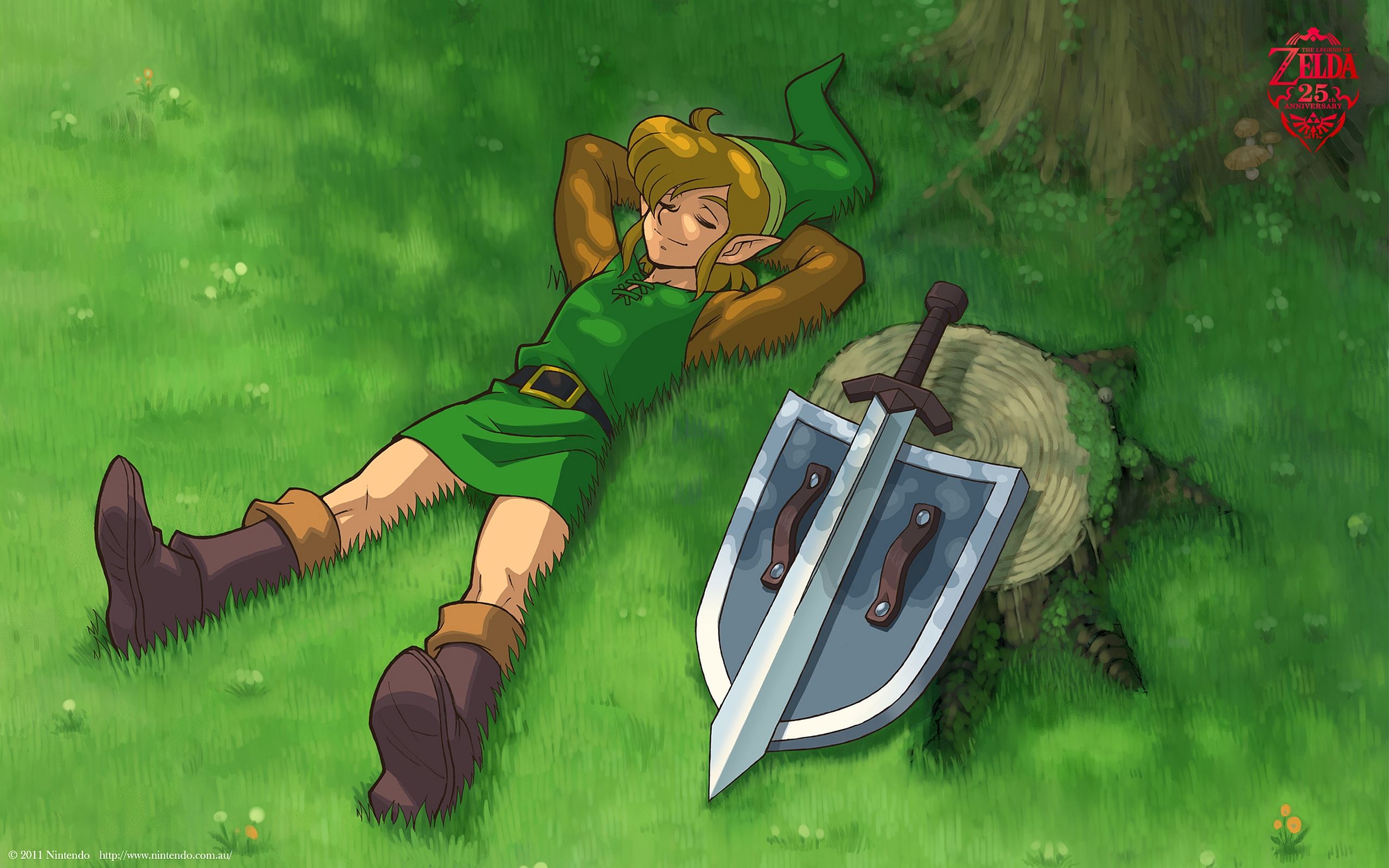 Link The Legend Of Zelda A Link To The Past 2560x1600