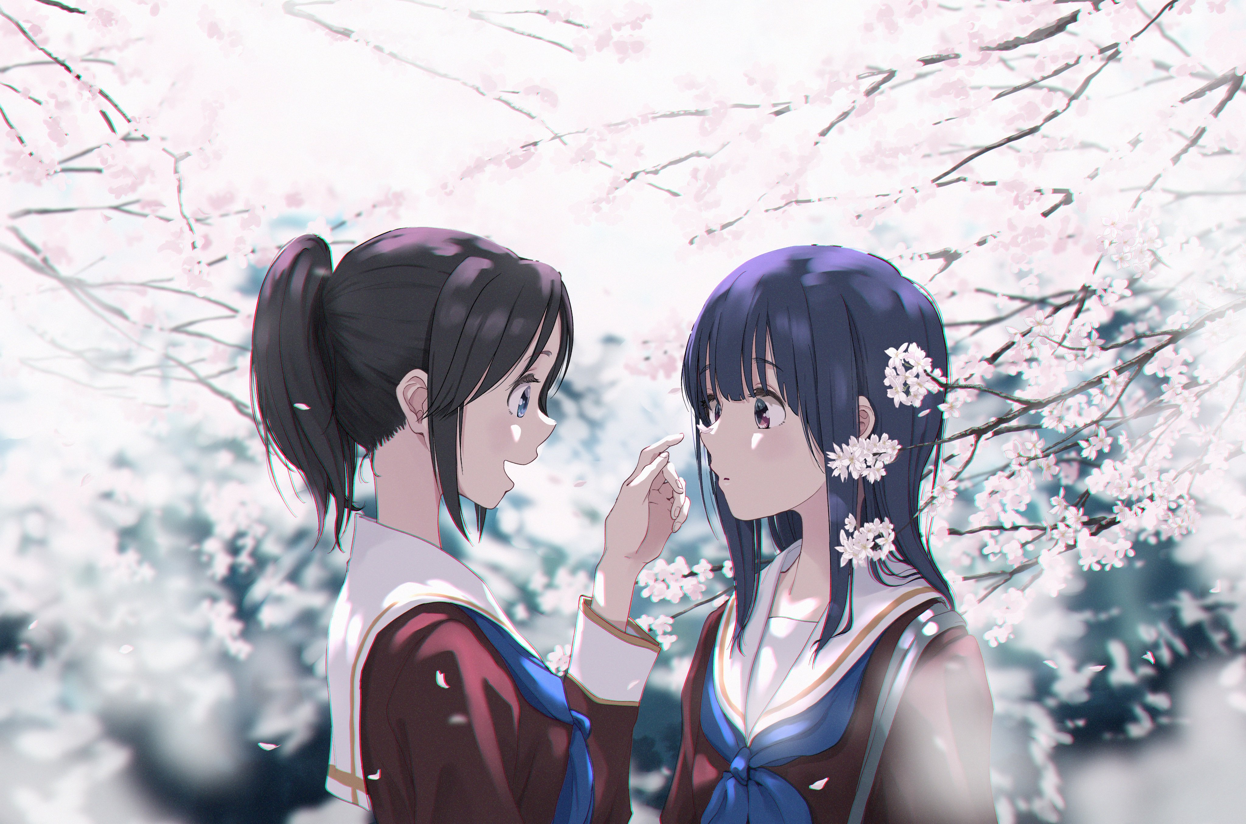 Anime Anime Girls Liz To Aoi Tori Yoroizuka Mizore Hibike Euphonium Kasaki Nozomi Sakura Blossom Sch 4096x2711