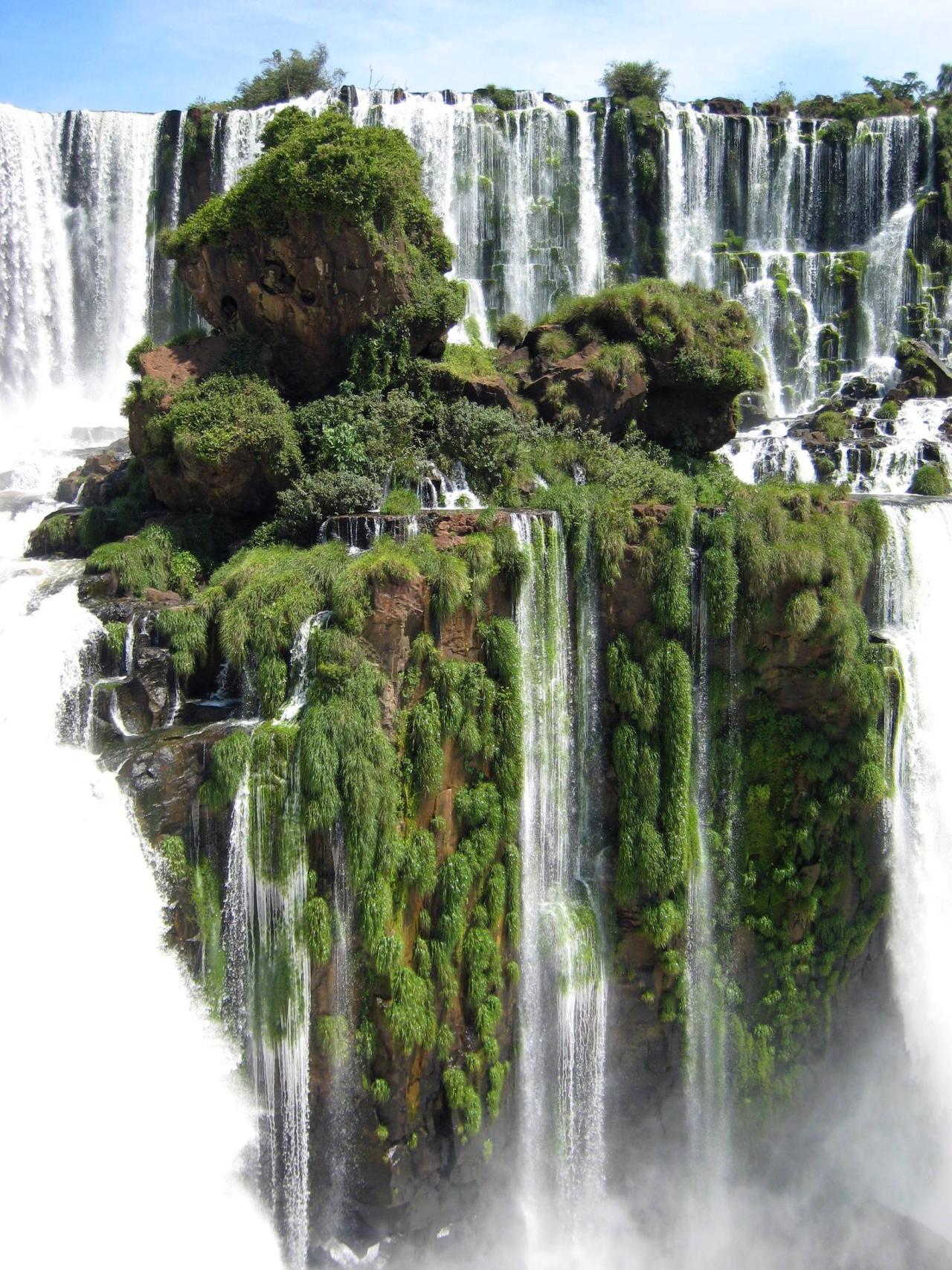 Nature Landscape Waterfall Iguazu Falls Argentina Trees Portrait Display Rock 1280x1707