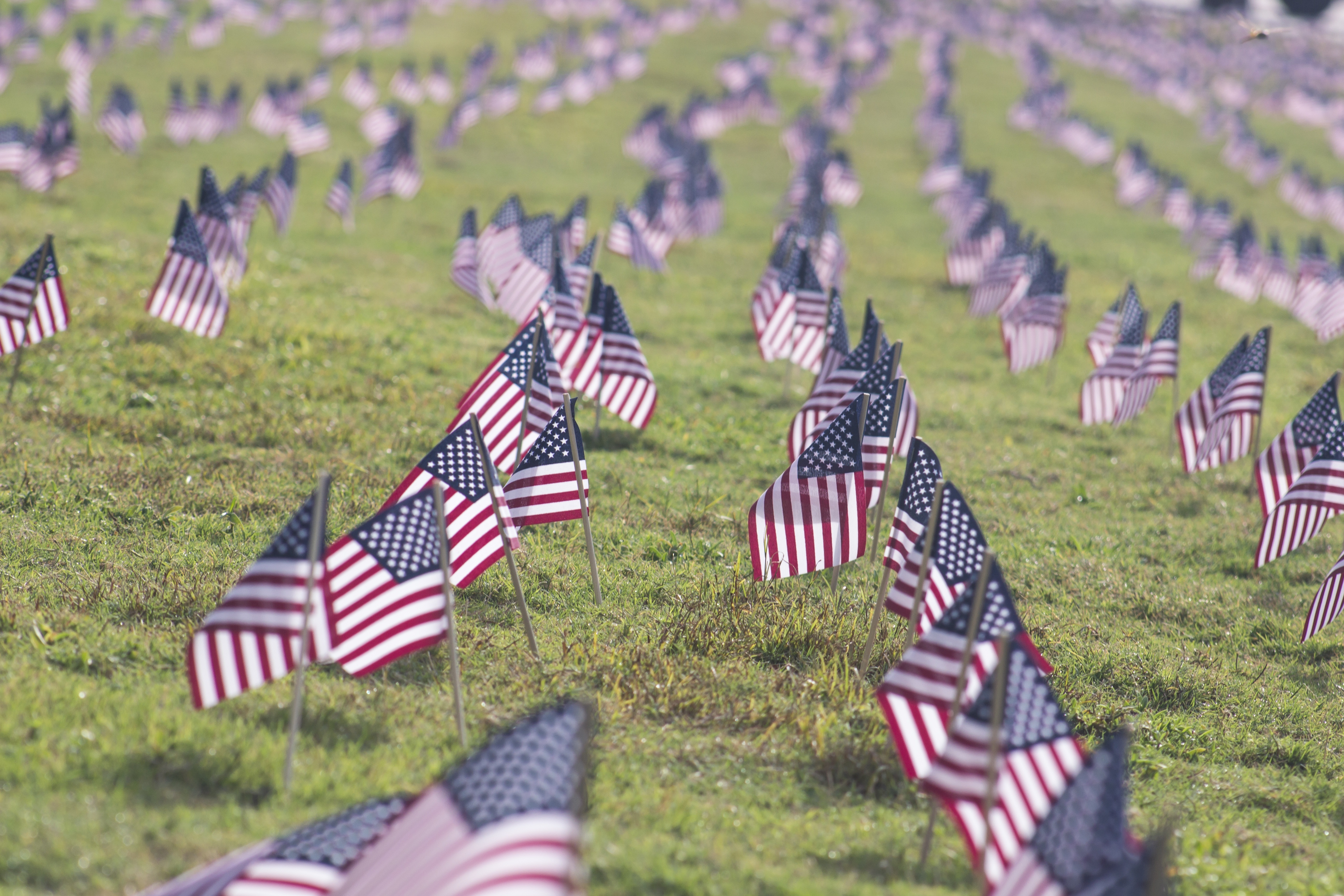 American Flag Flag Grass Memorial Day 5184x3456