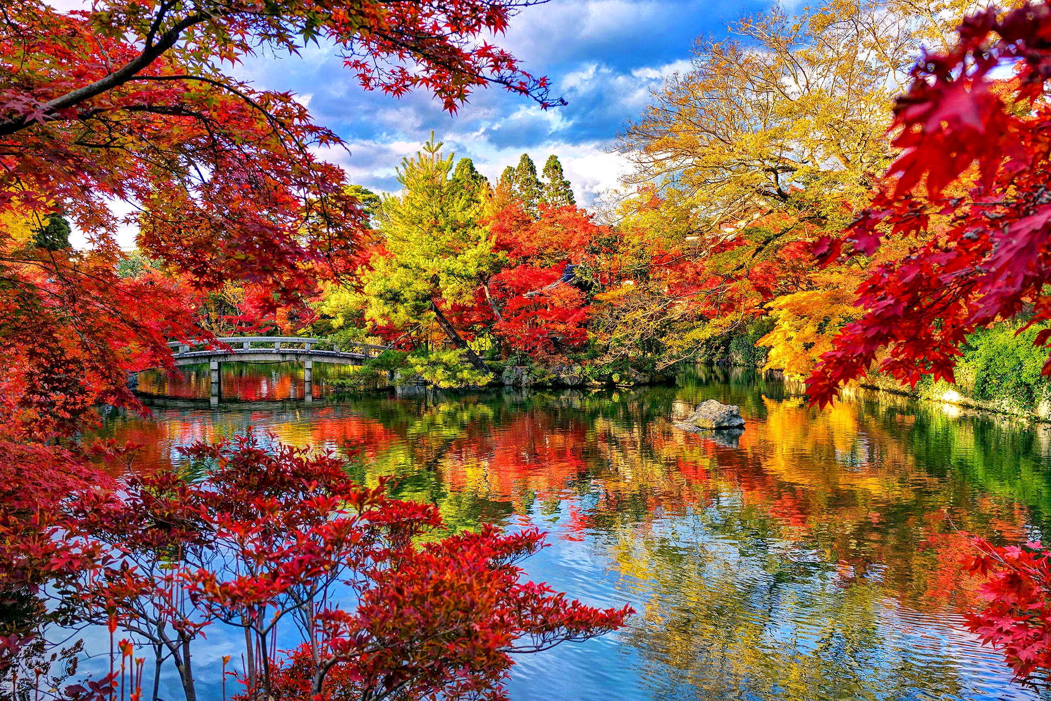 Bridge Lake Fall Foliage Tree Forest Park Garden 2048x1365