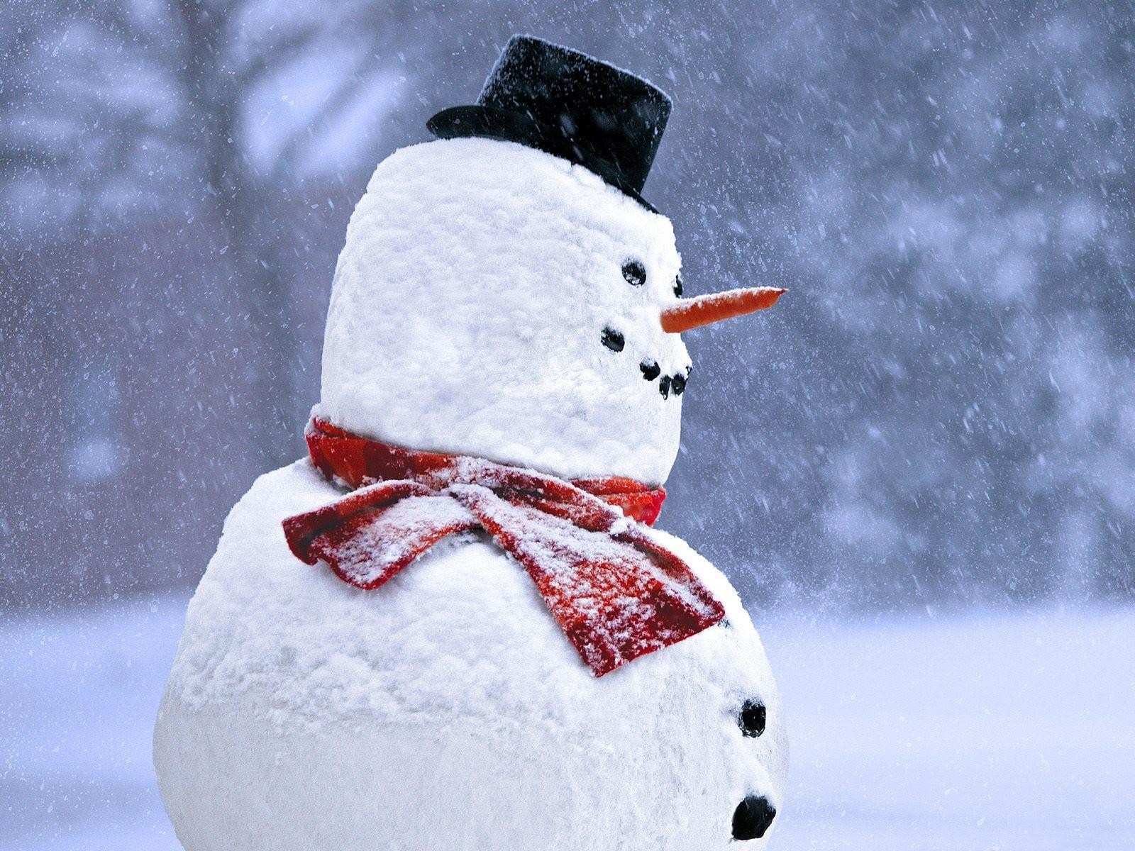 Snow Snowmen Winter Carrots Hat 1600x1200