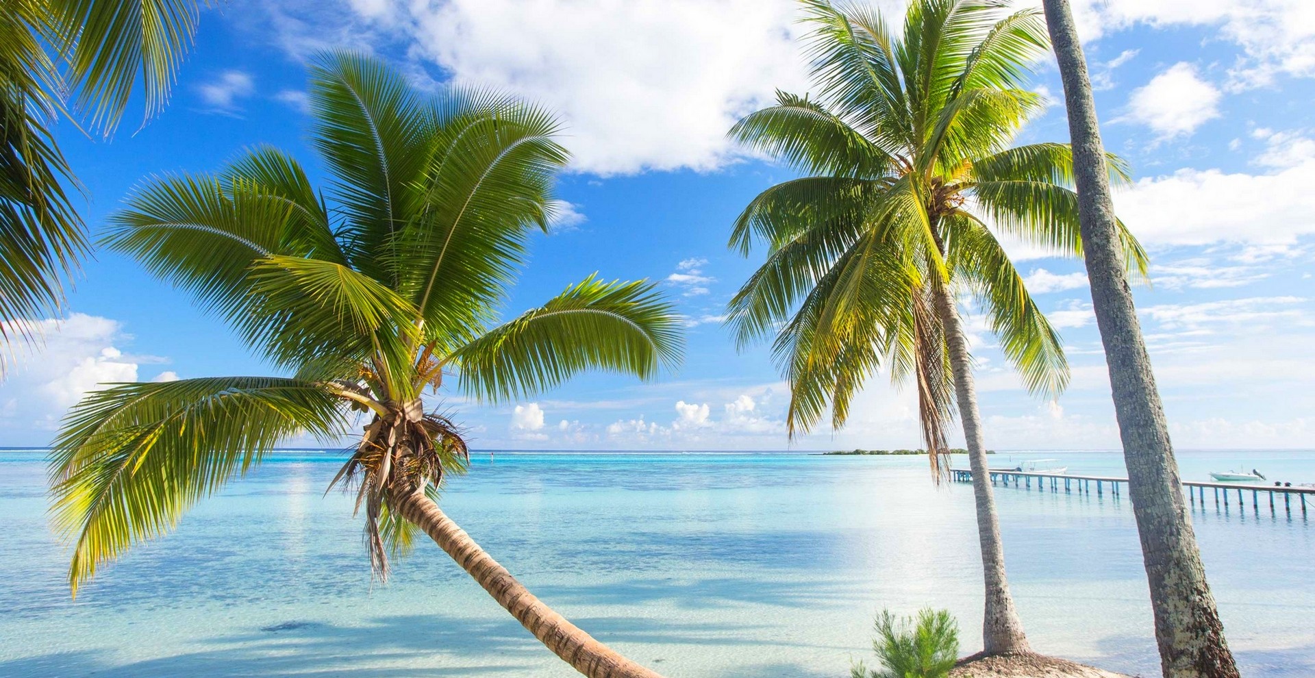 Nature Landscape French Polynesia Summer Beach Dock Palm Trees Sea Tropical Bora Bora Clouds Dayligh 1920x990