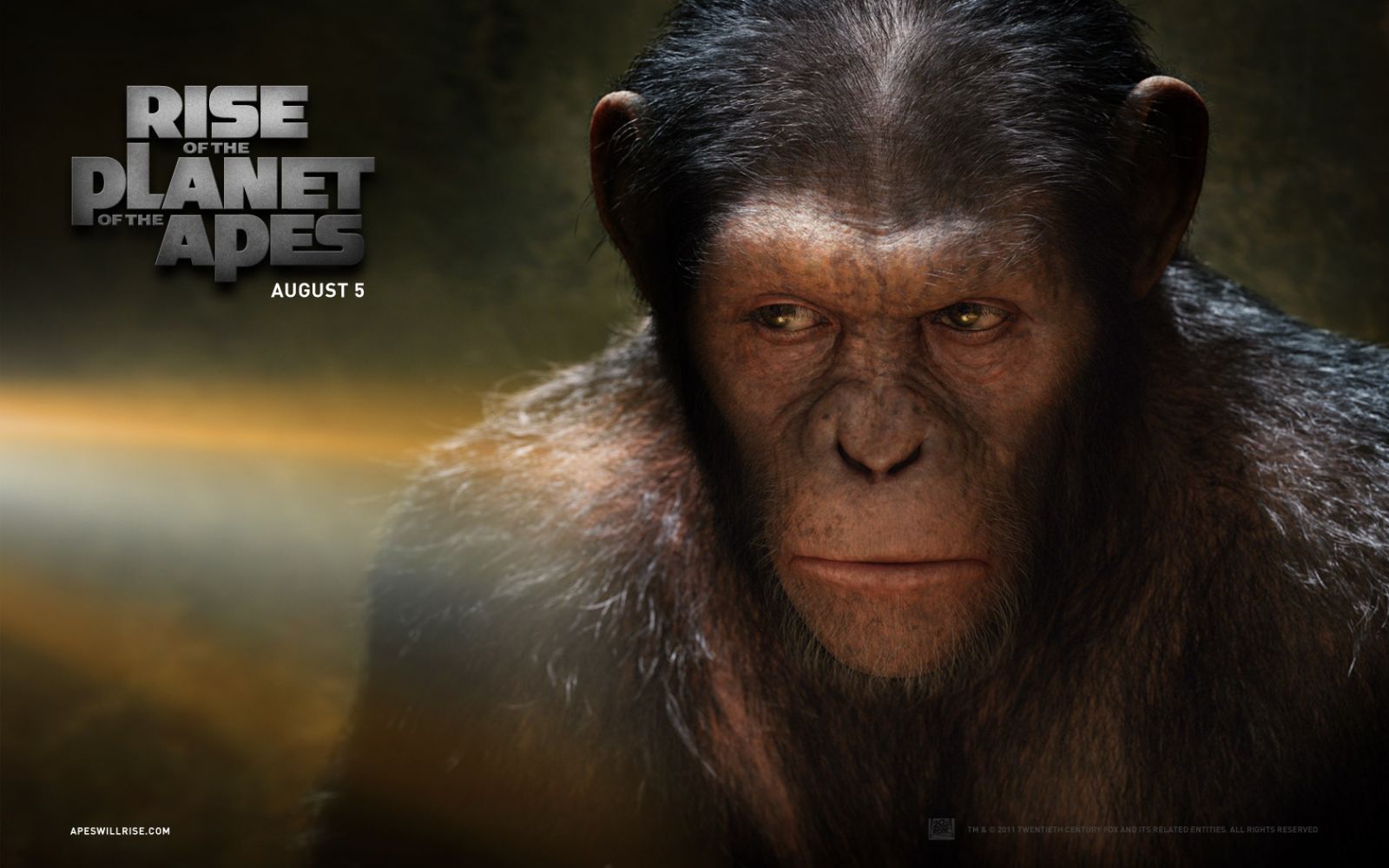 Movie Rise Of The Planet Of The Apes 1600x1000