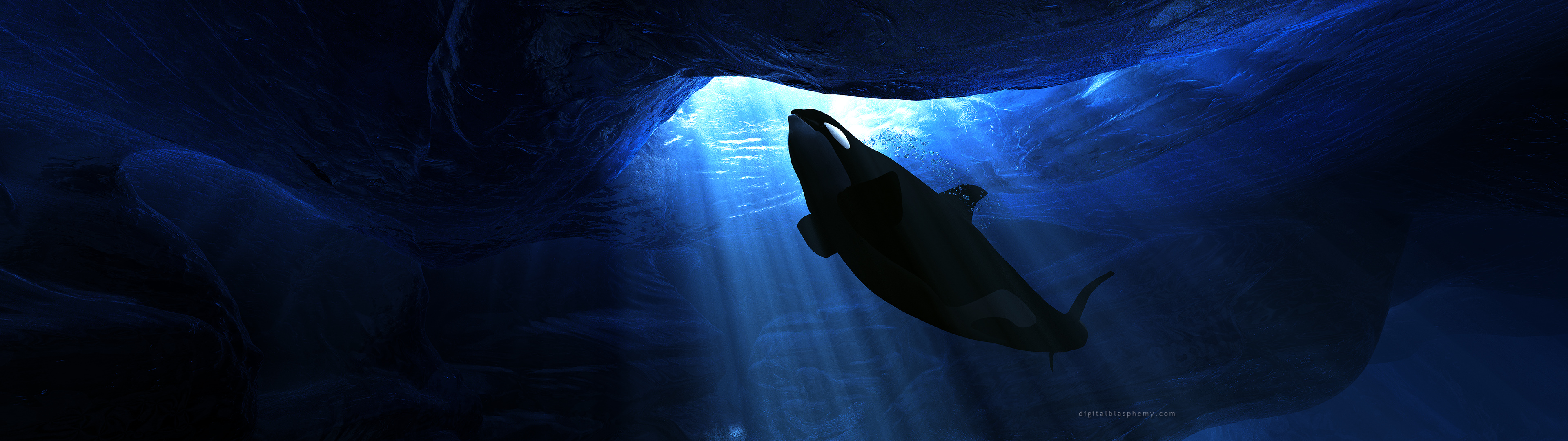 Killer Whale 3840x1080