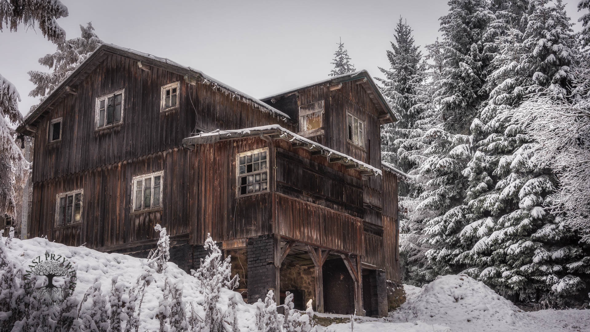Деревянный дом снег. Бревенчатая Хижина в горах США. Город Уинтер на Аляске. Заброшенный деревянный дом. Дом в лесу.