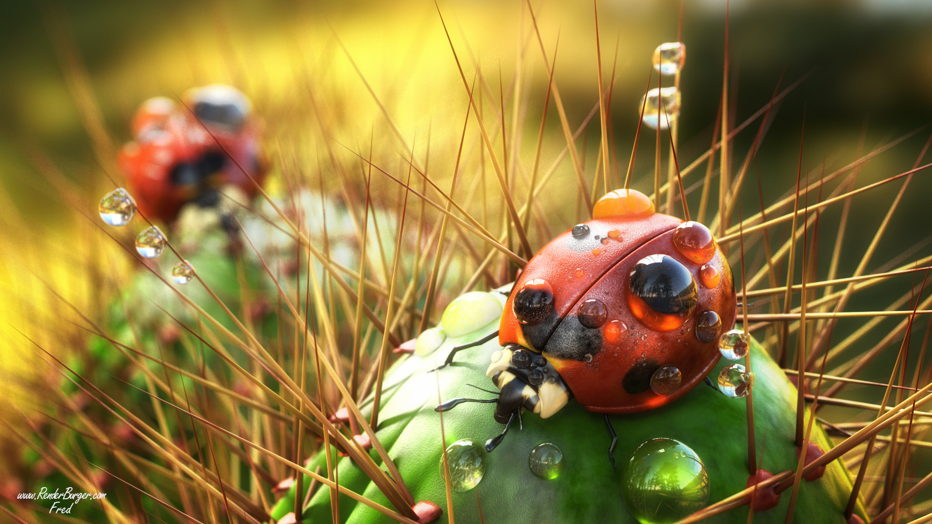 Digital Art Artwork Animals Ladybugs Thorns Insect Water Drops 3D Cactus Reflection CGi 1920x1080