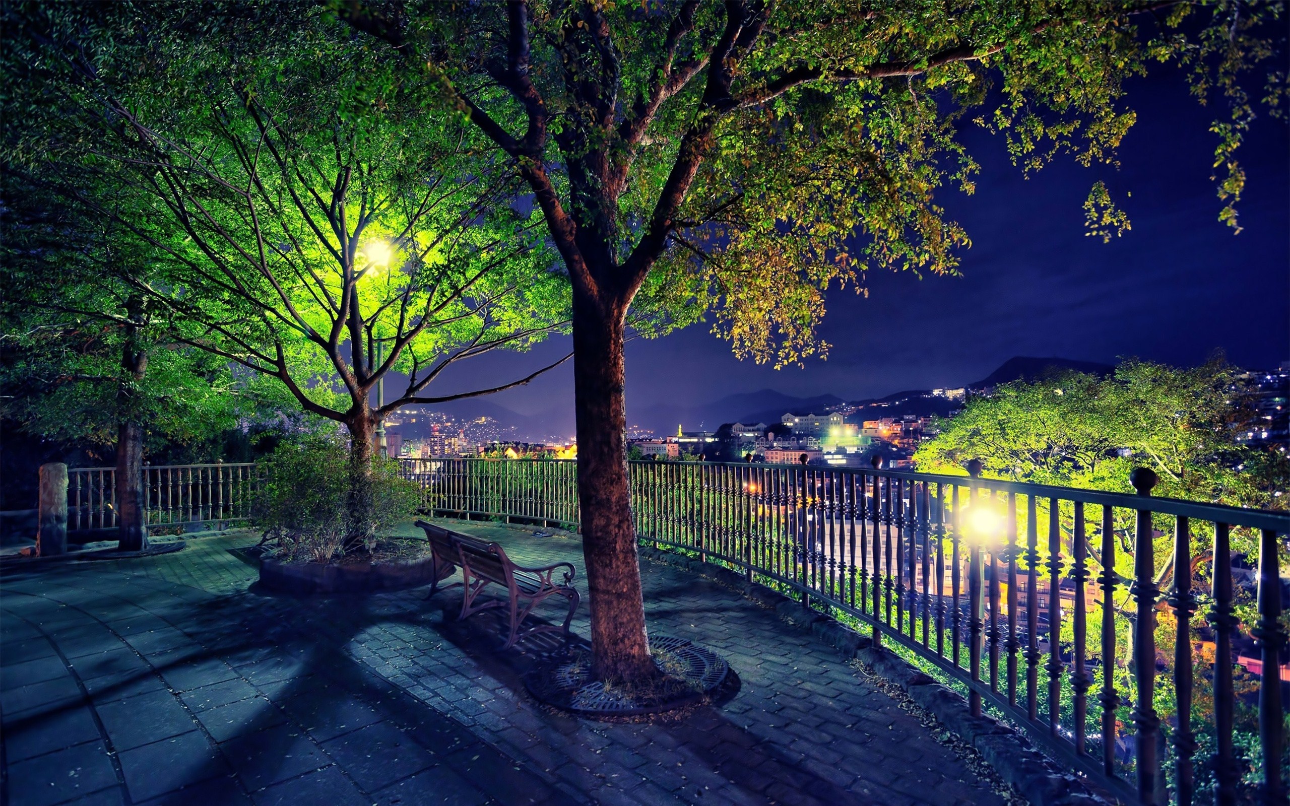 Night View Trees Bench 2560x1600