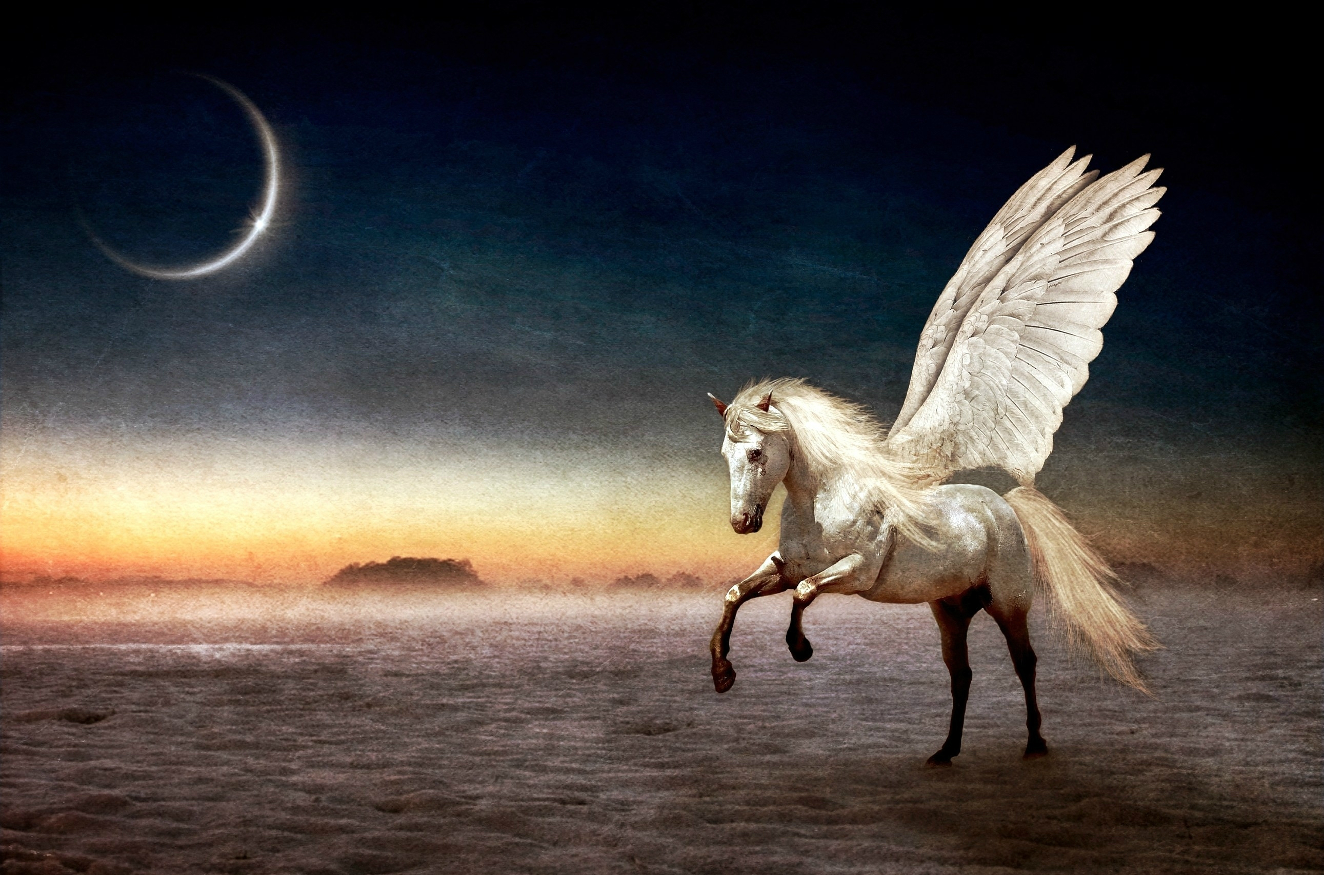 Fantasy Pegasus 2582x1706
