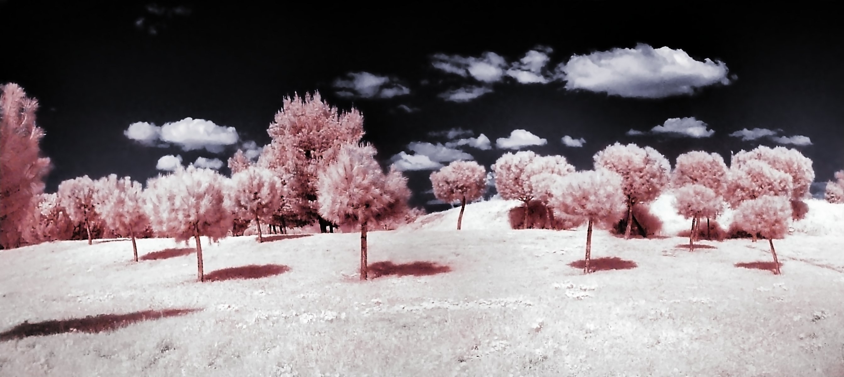 Photography Infrared 2685x1200
