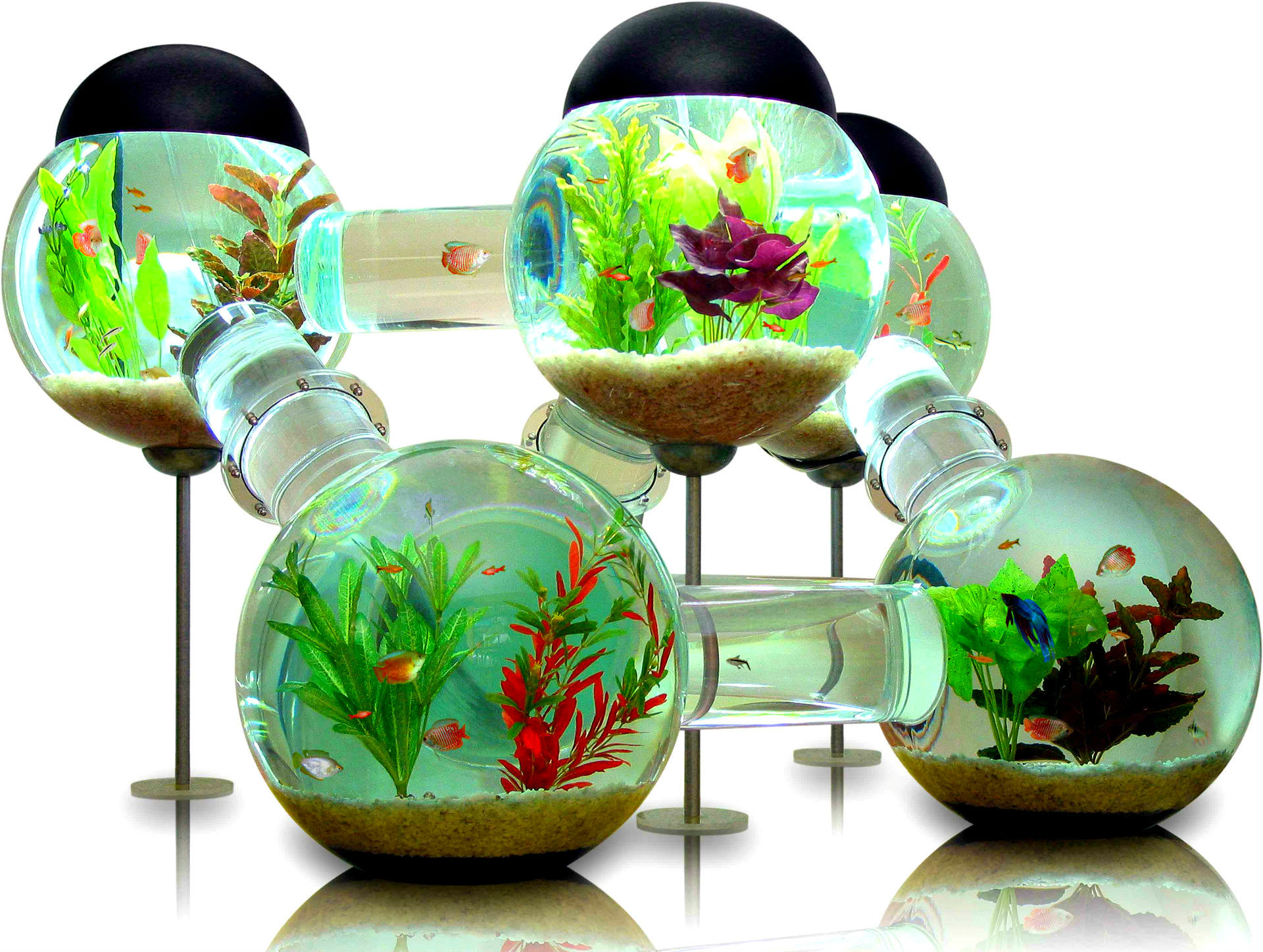 Fish Tank Colors Red Water 1920x1447