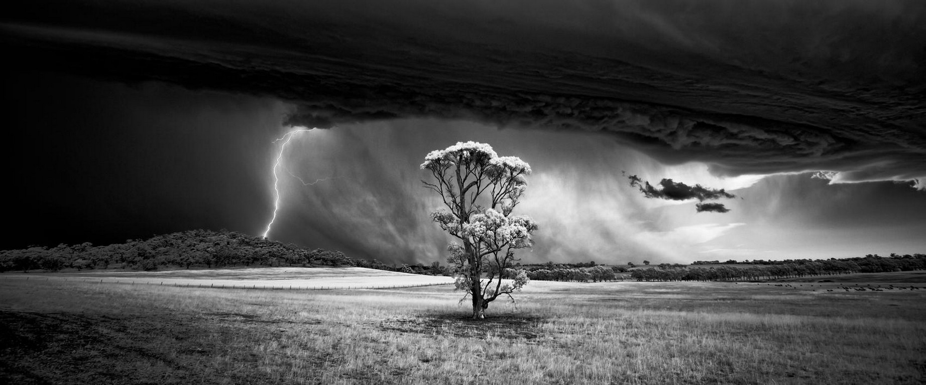 Nature Landscape Trees Field Storm Lightning Supercell Nature Clouds Hills Wind Monochrome Panoramas 1844x768