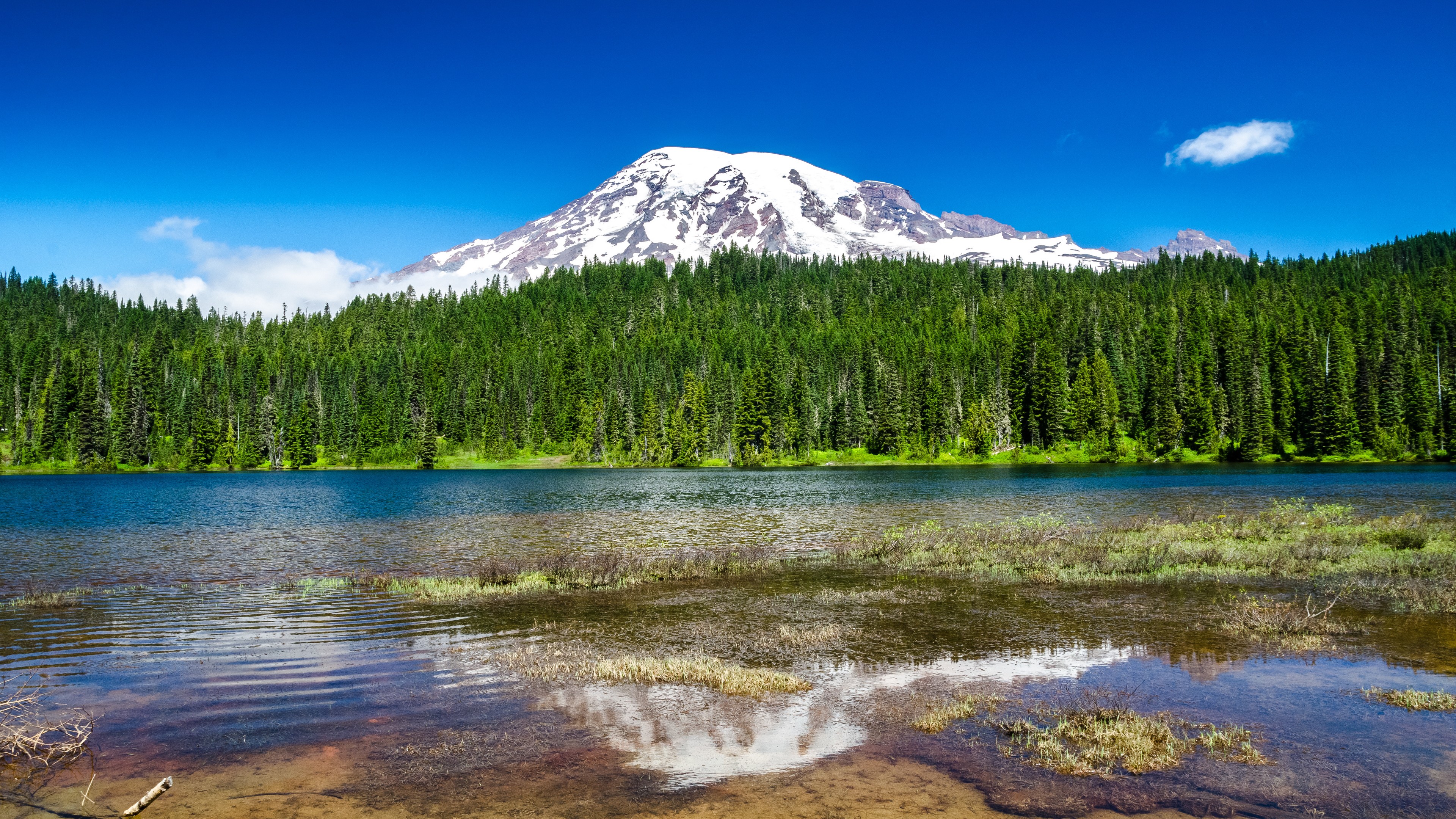Nature Water Mountains Forest Mt Rainier 3840x2160