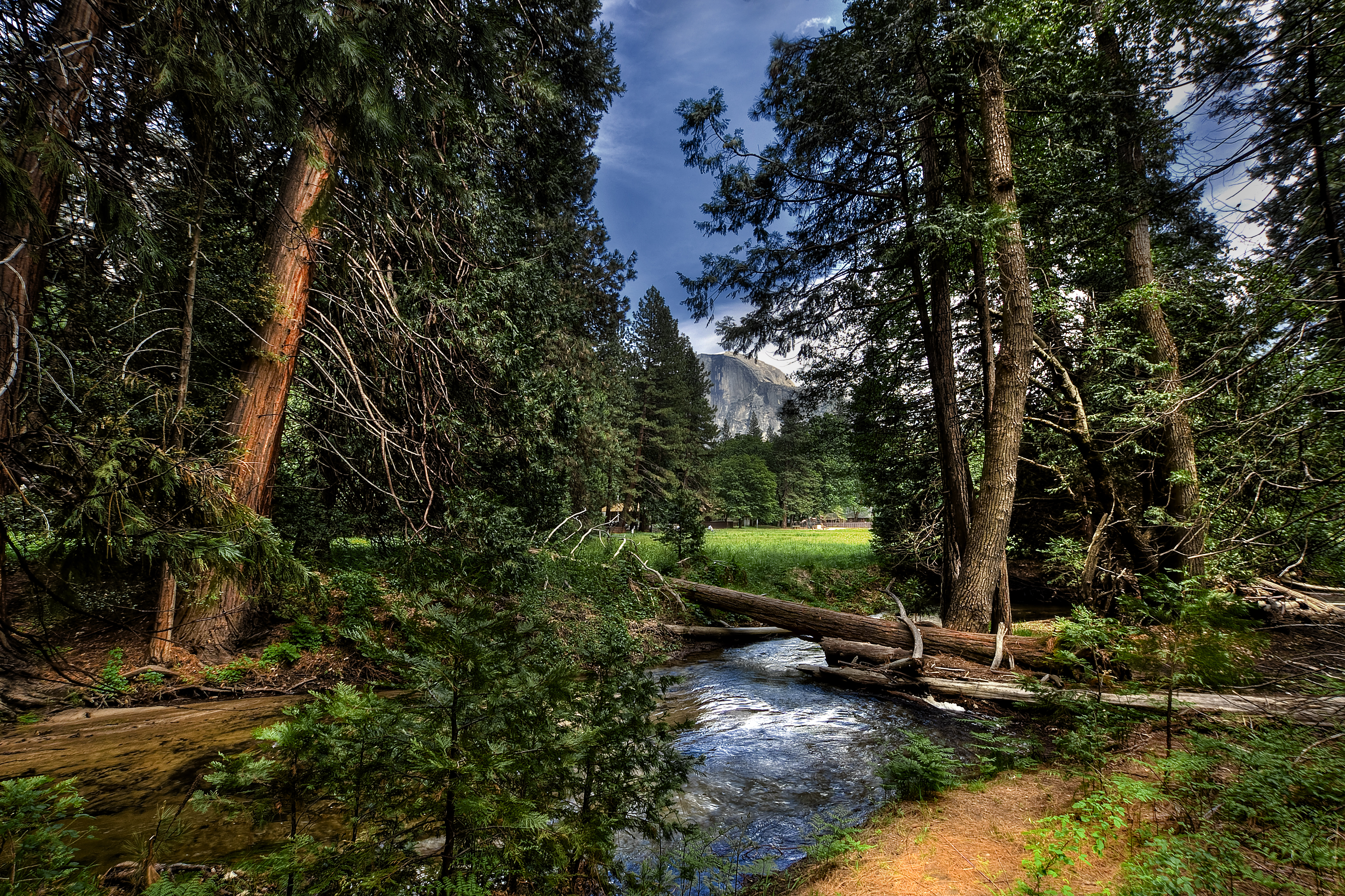 Yosemite National Park Landscape Meadow Tree Forest Stream Half Dome 7500x5000