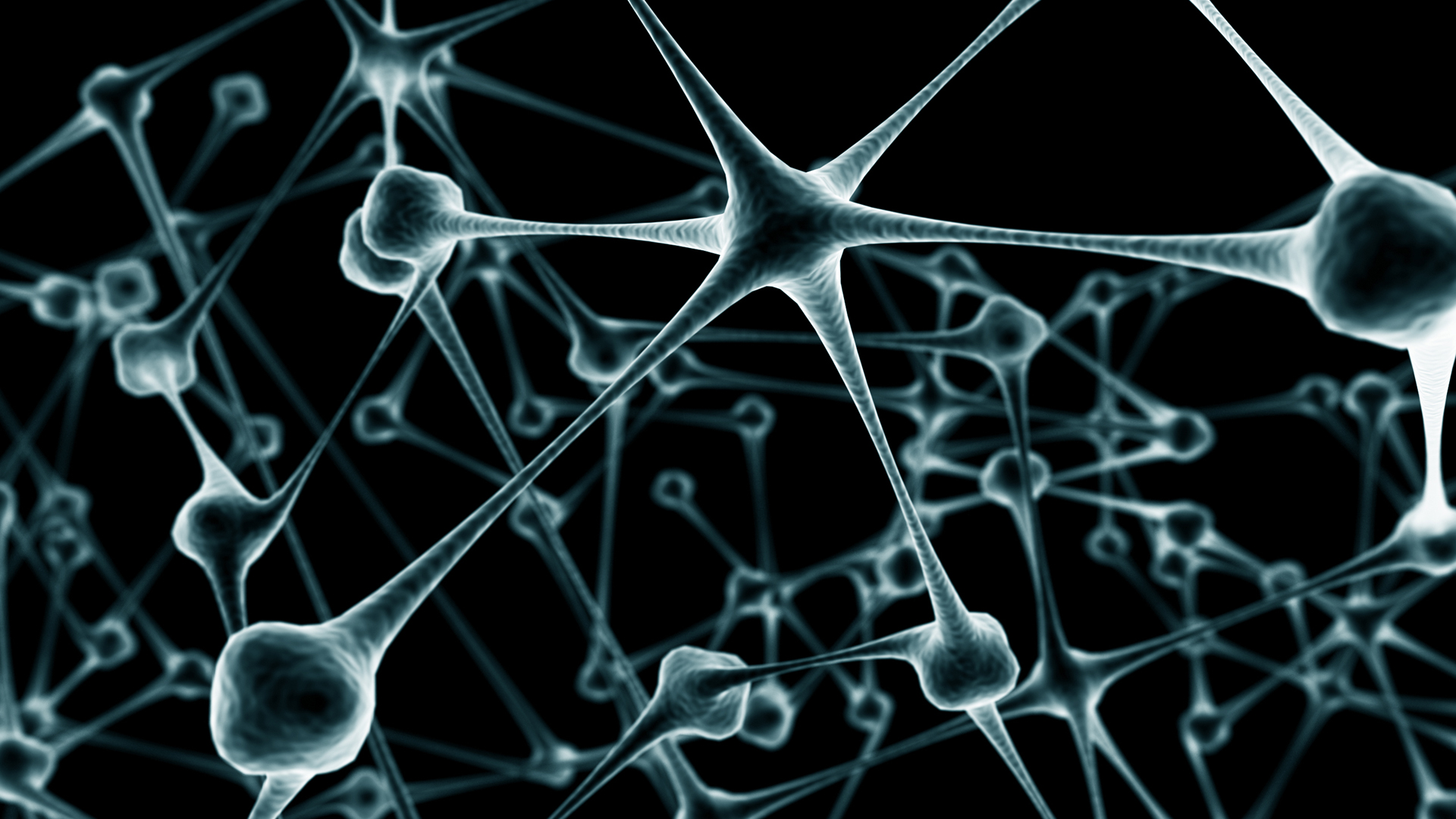 Neurons Digital Art Artwork CGi 1920x1080