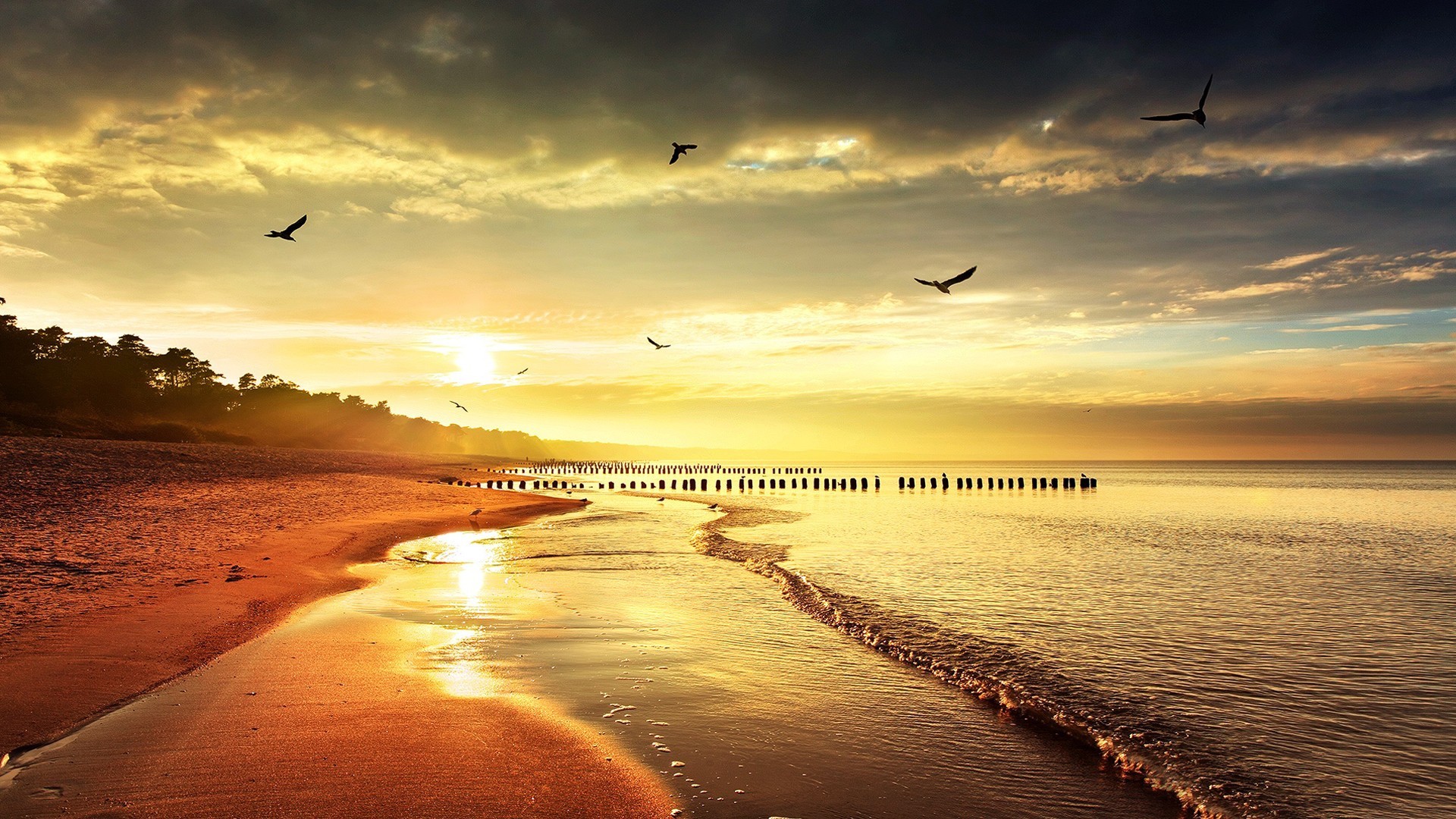 Sunset Sea Sea Gulls Beach Horizon Waves 1920x1080