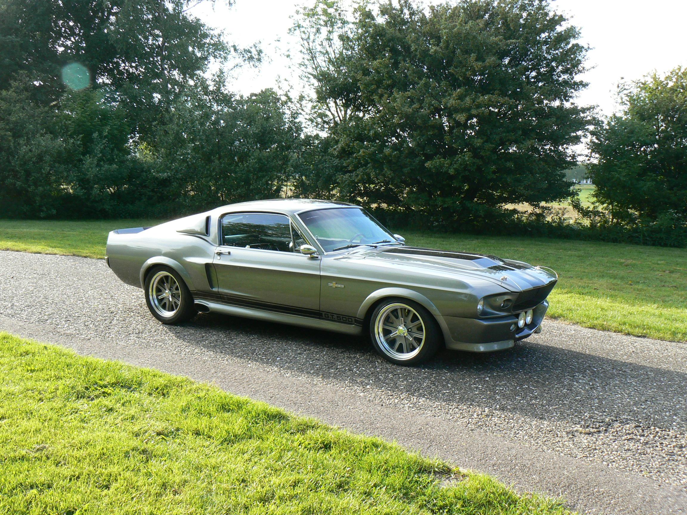 Shelby GT500 Muscle Car Fastback 2304x1728