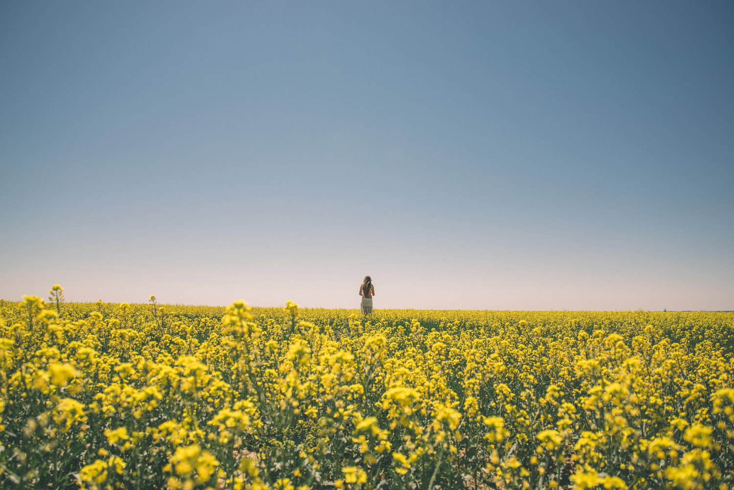 Noel Alvarenga Photography Chill Out Women Women Outdoors Landscape Sky Herbarium Yellow Flower Blon 1500x1001