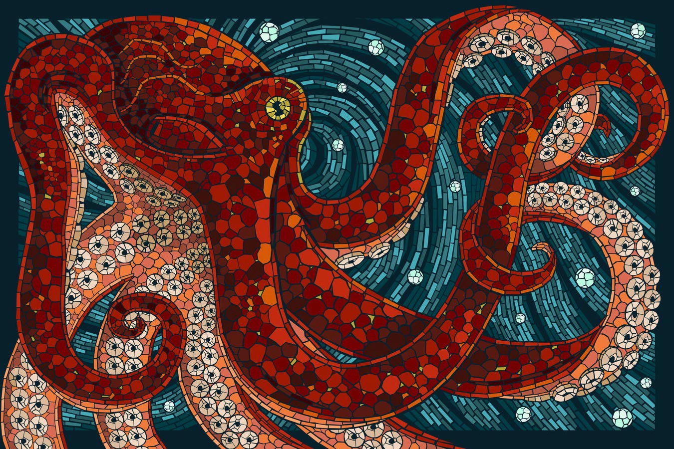 Animal Octopus 1350x900
