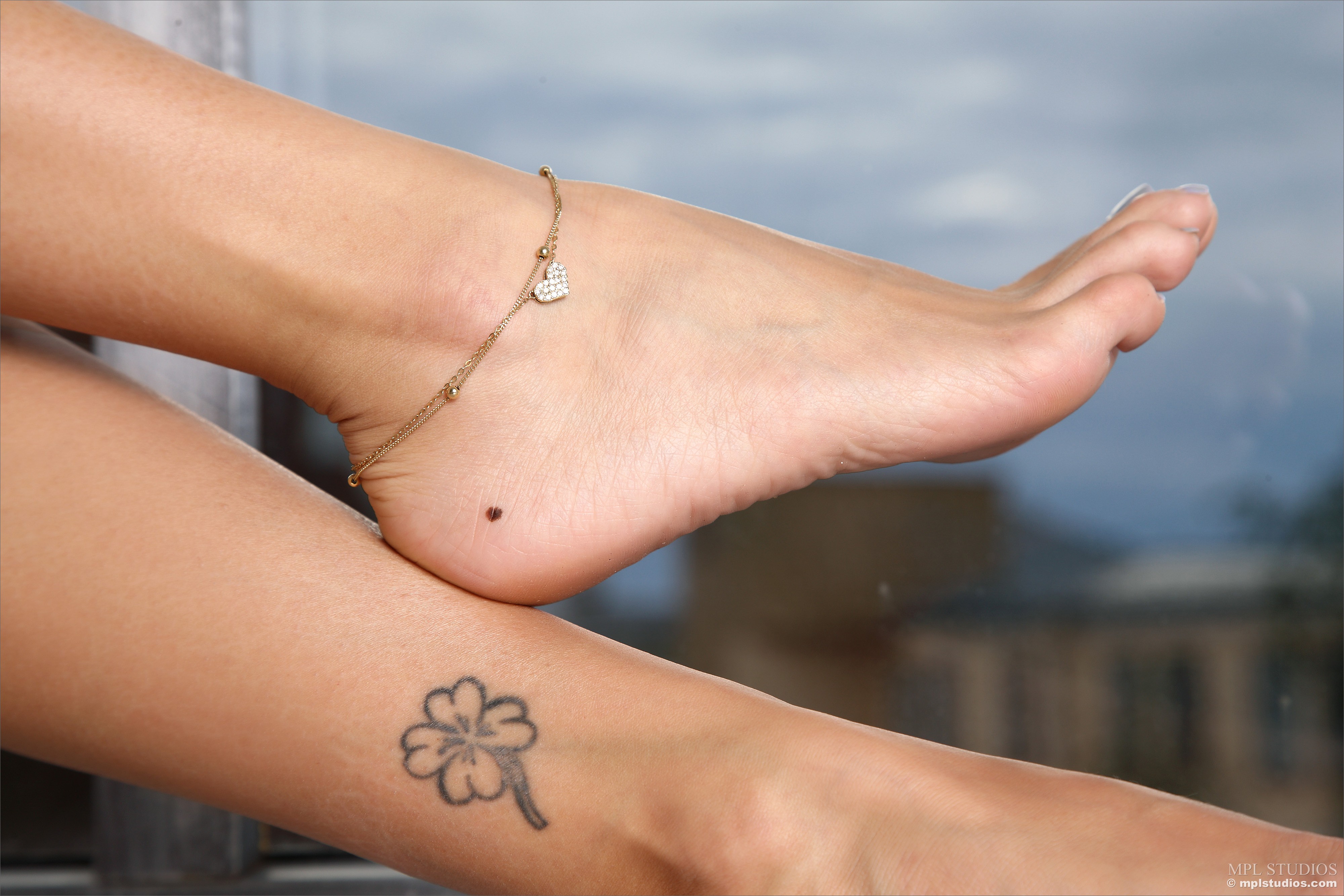 Feet Women Anklet Tattoo Barefoot Closeup 4000x2668